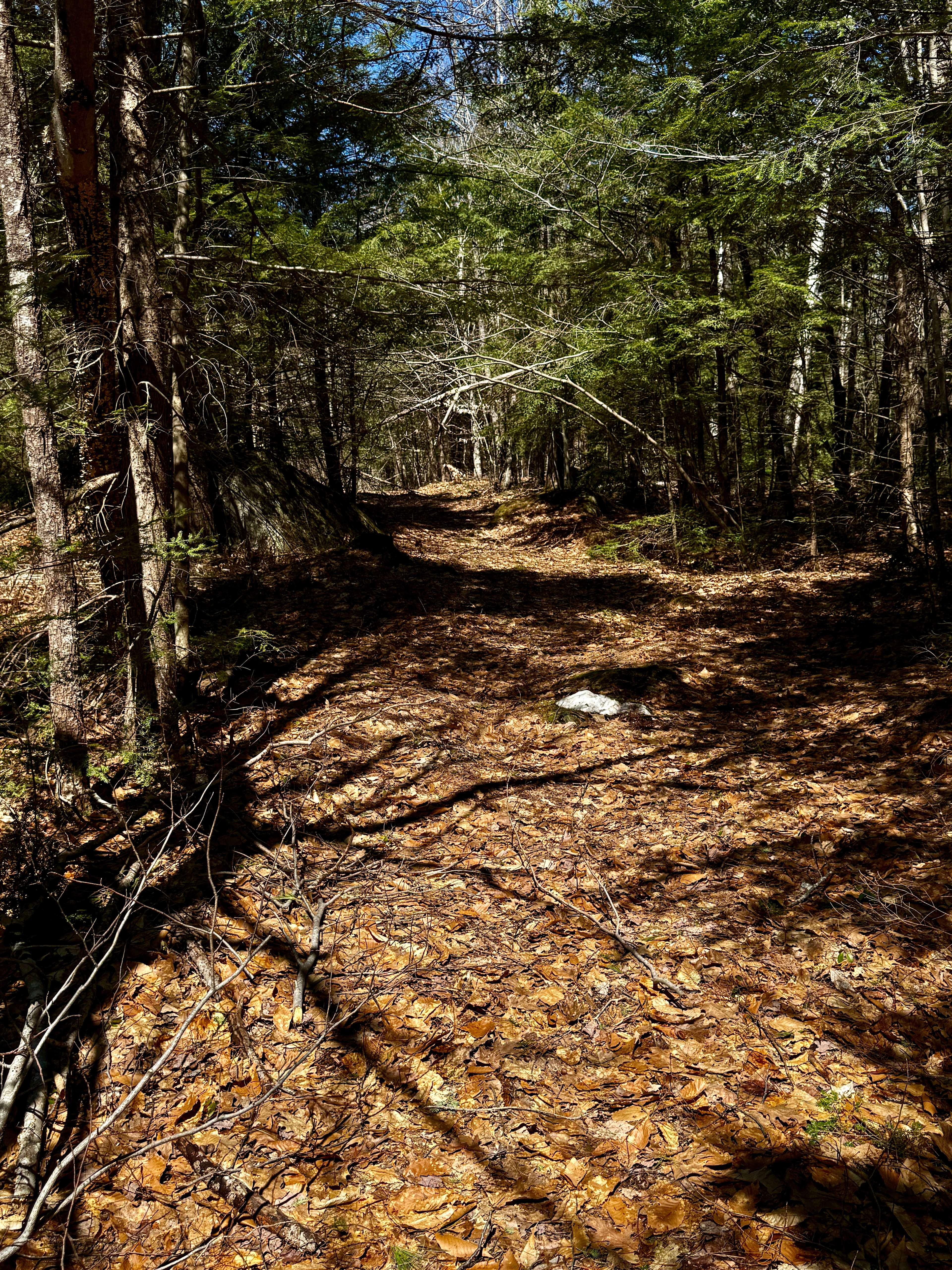 Stonybrook Cascading Waterfalls