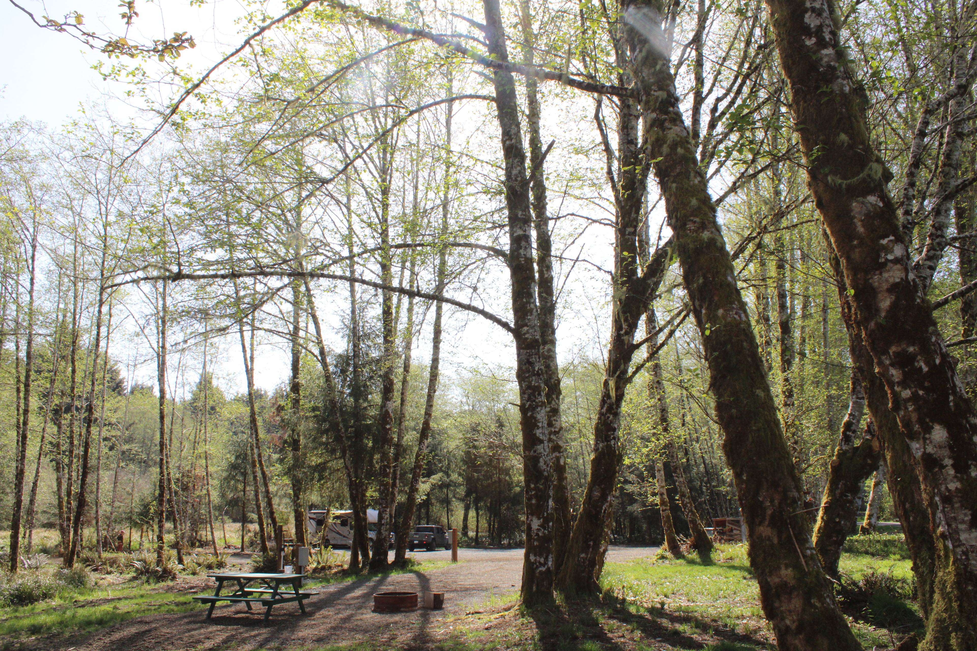 Sunny morning at RV Site #1