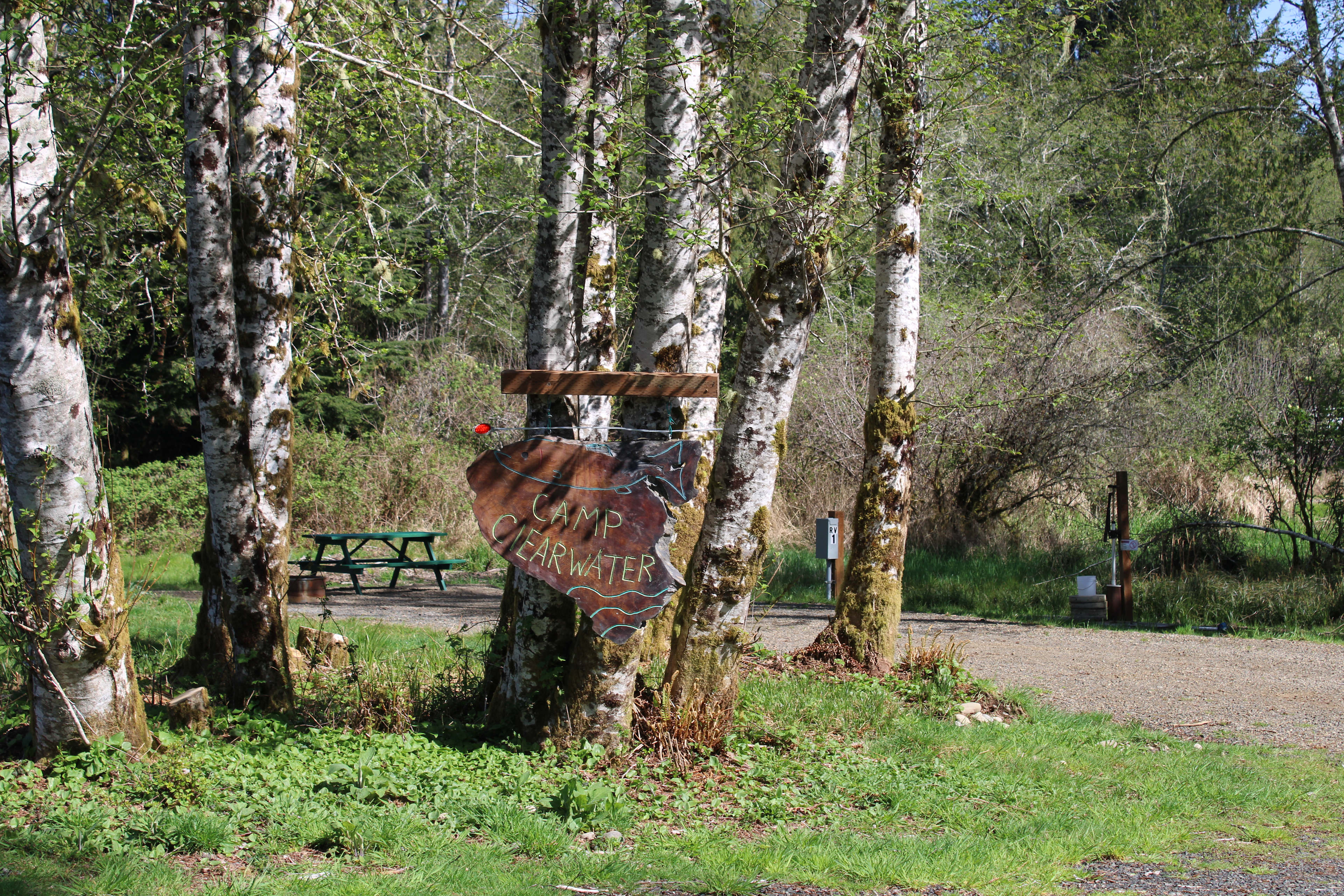 Camp Clearwater