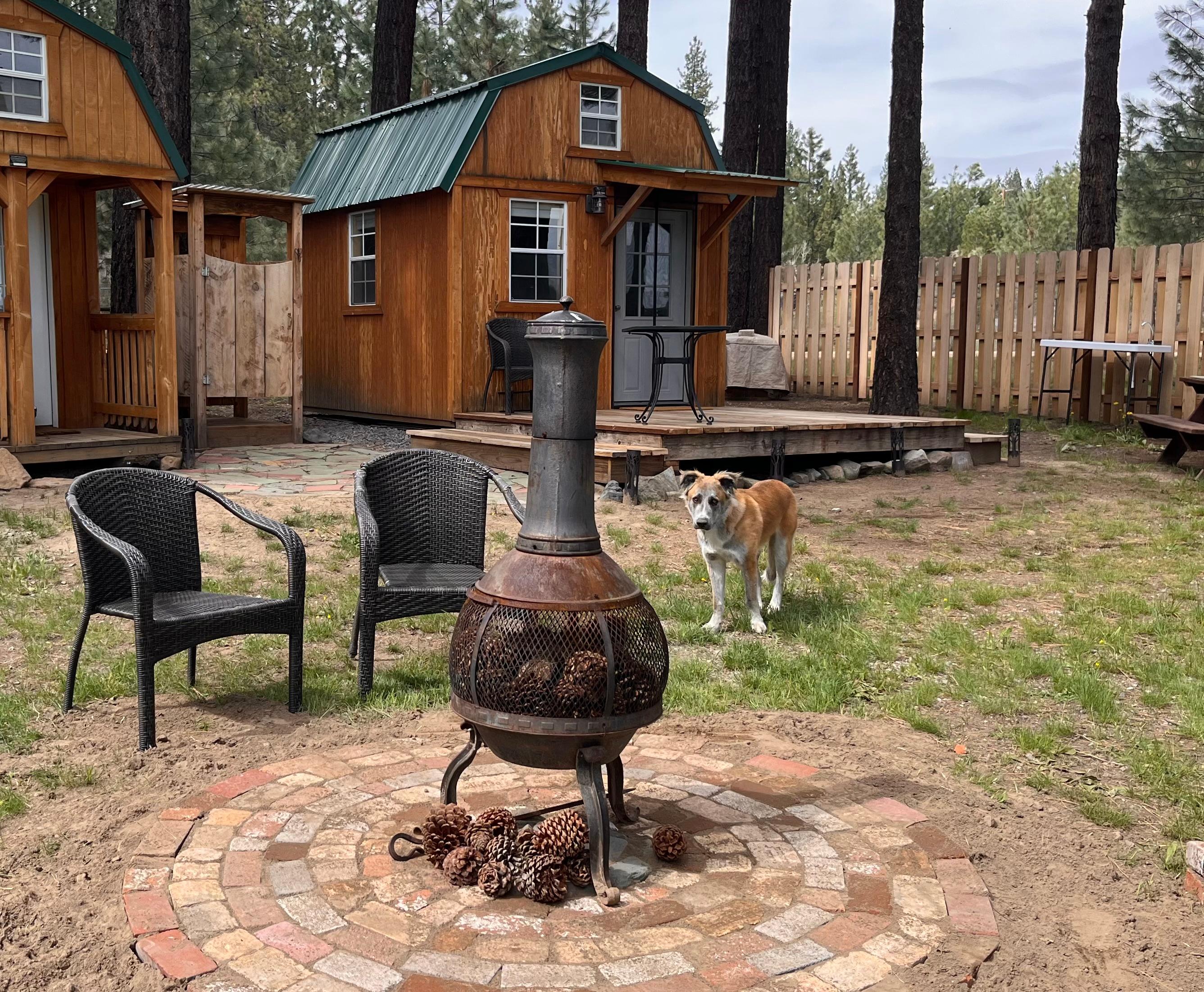 Lena's Landing- A Cozy Cabin