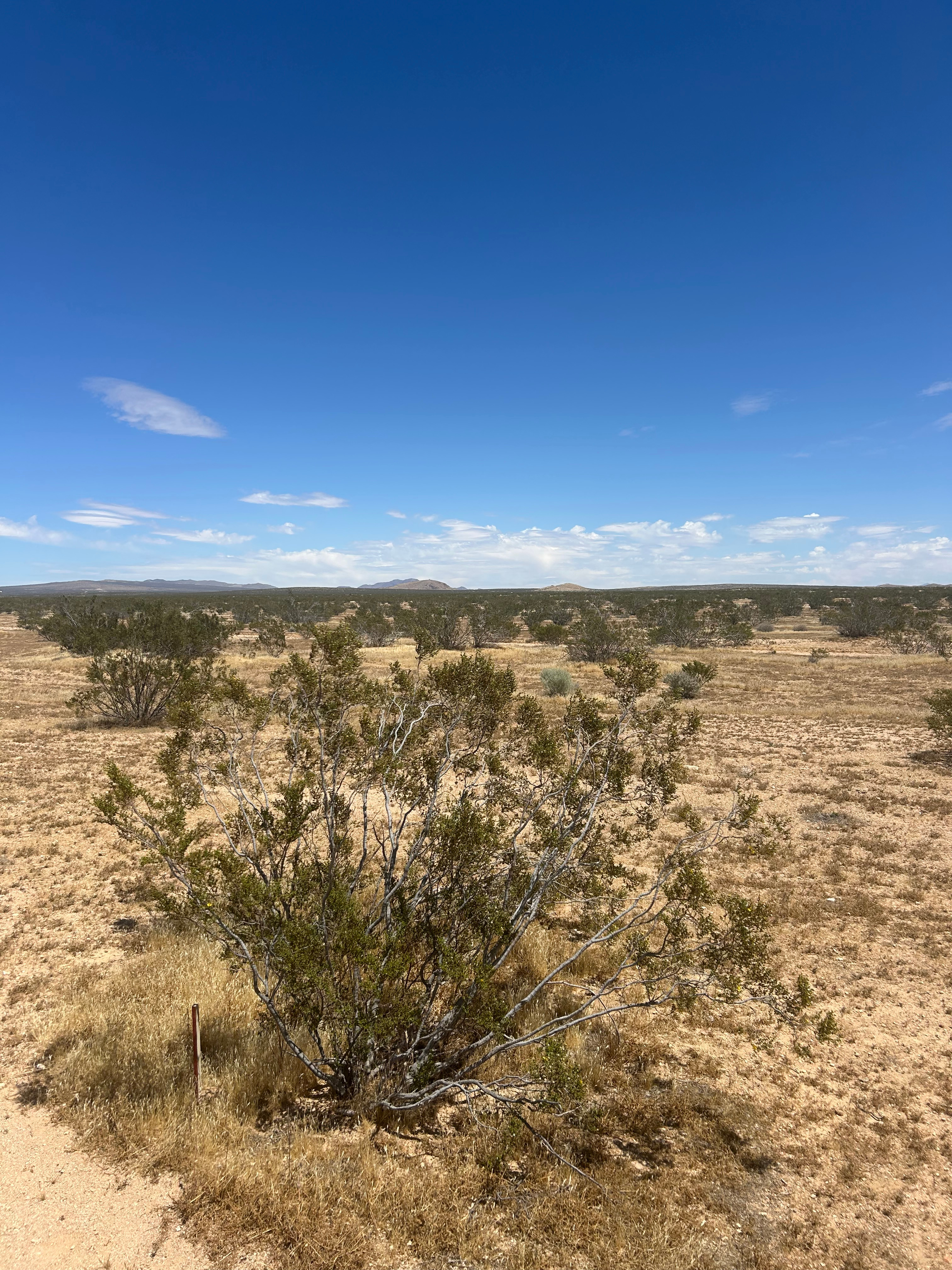 High Desert Sky Retreat