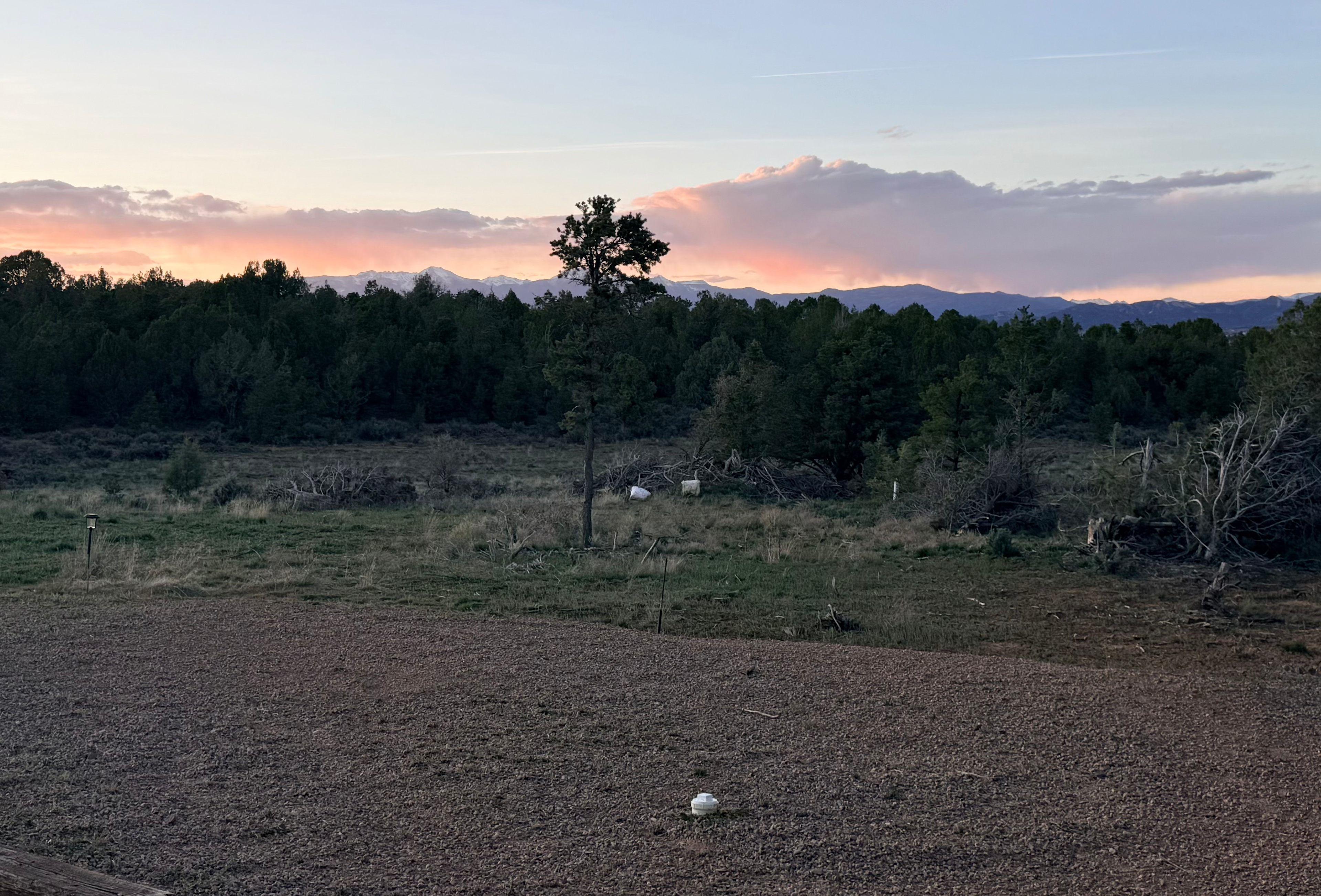JS Ranch