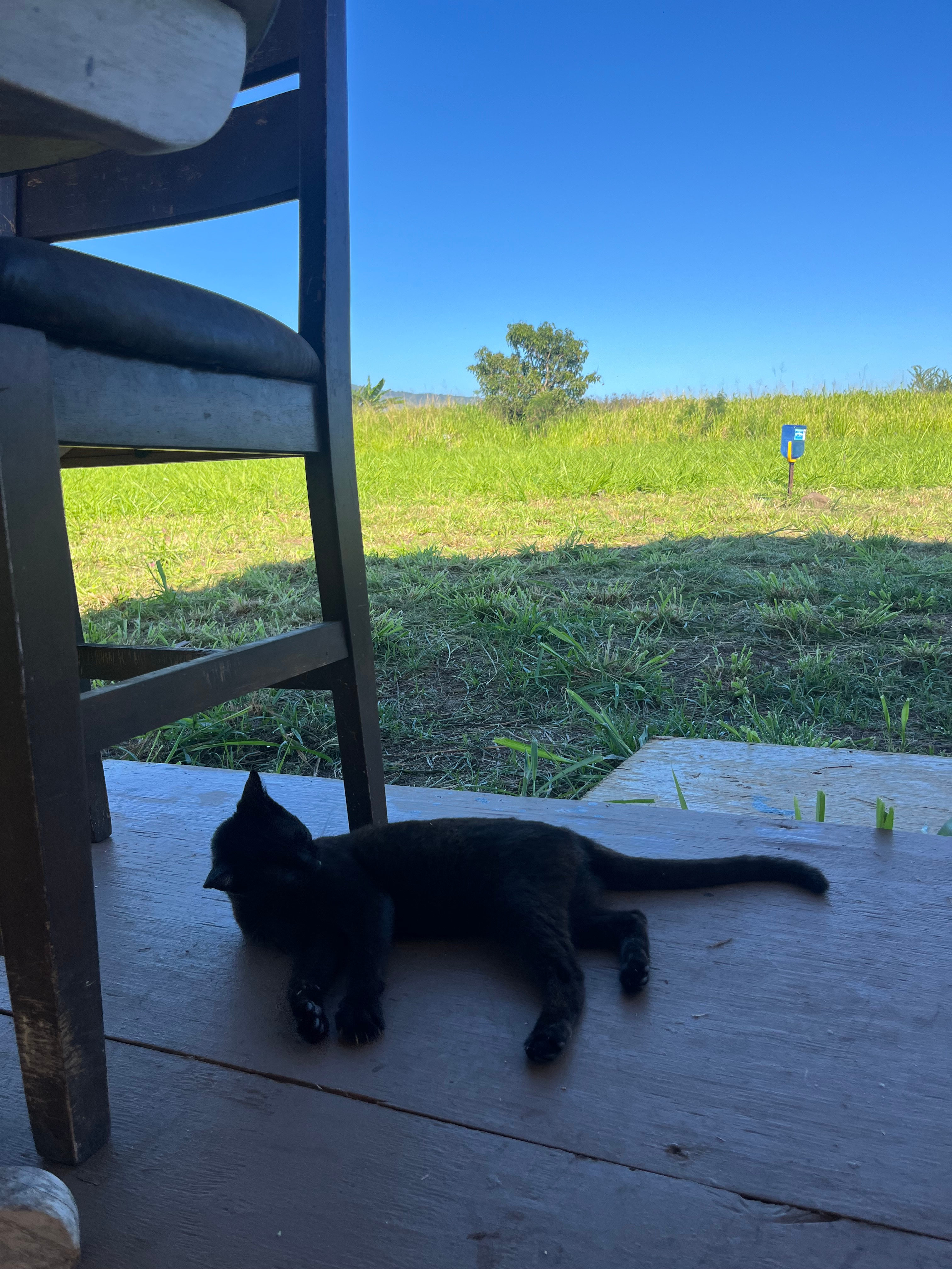 Totonami Farm
