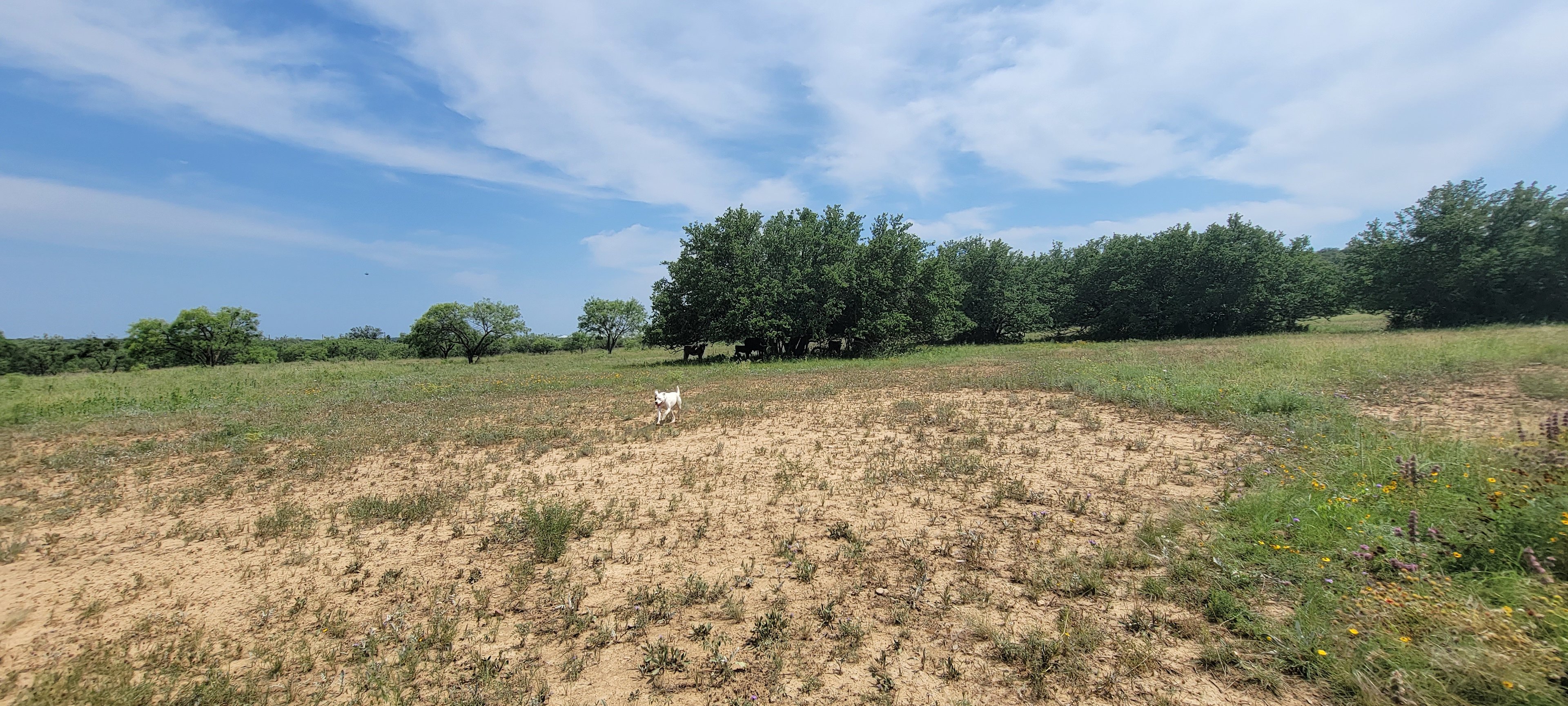 Nelson Ranch