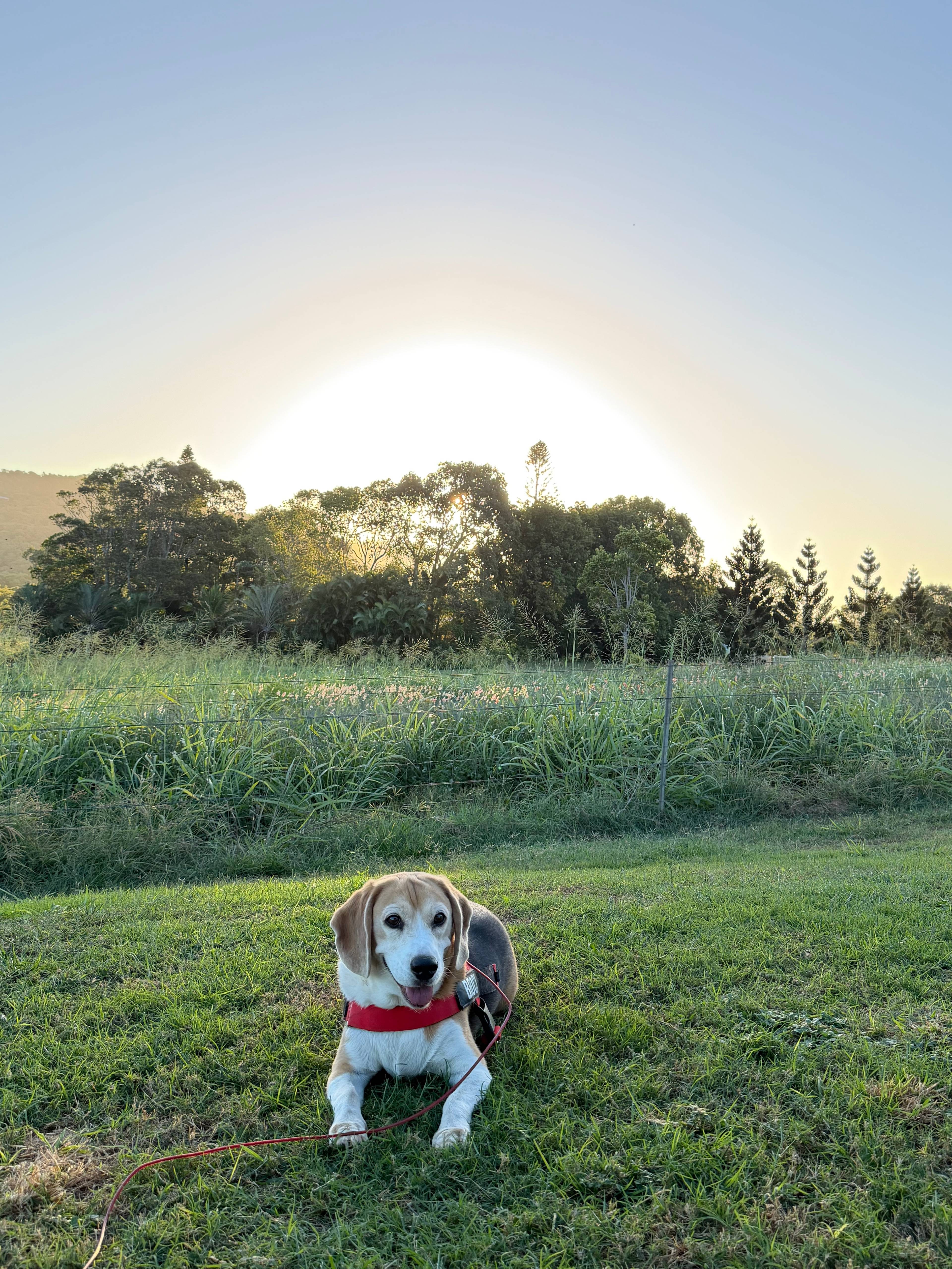 Yeppoon Farmstay