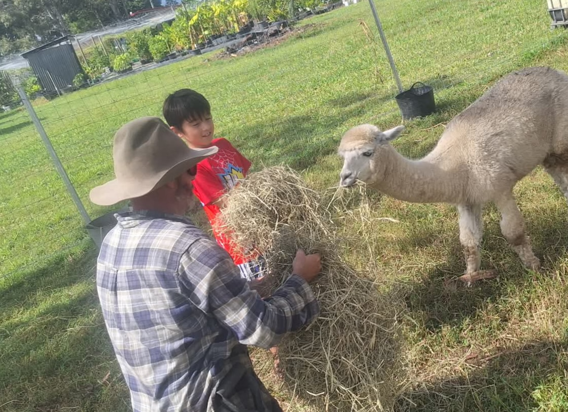 VietJess Farm