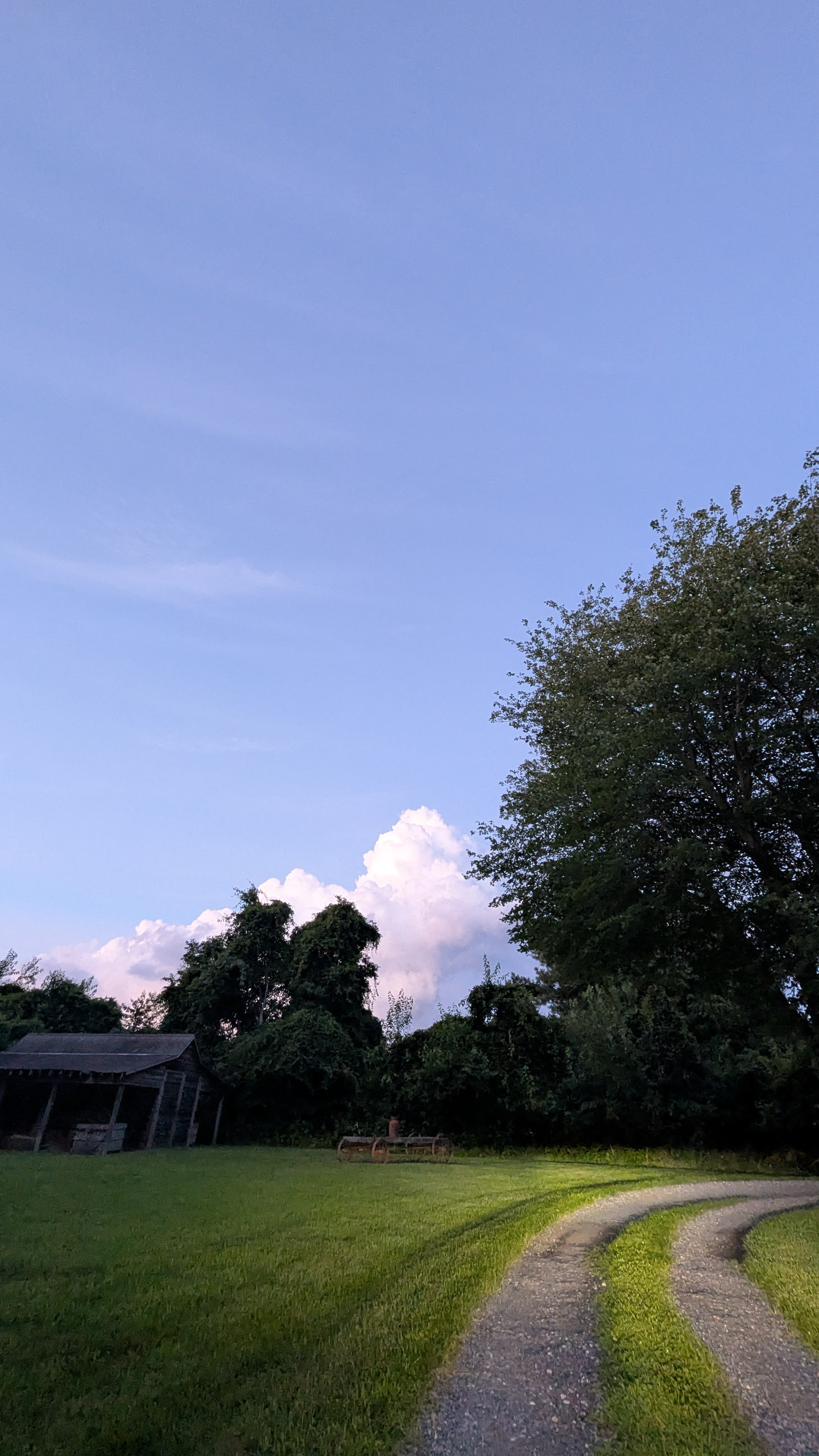 Mulberry Lane
