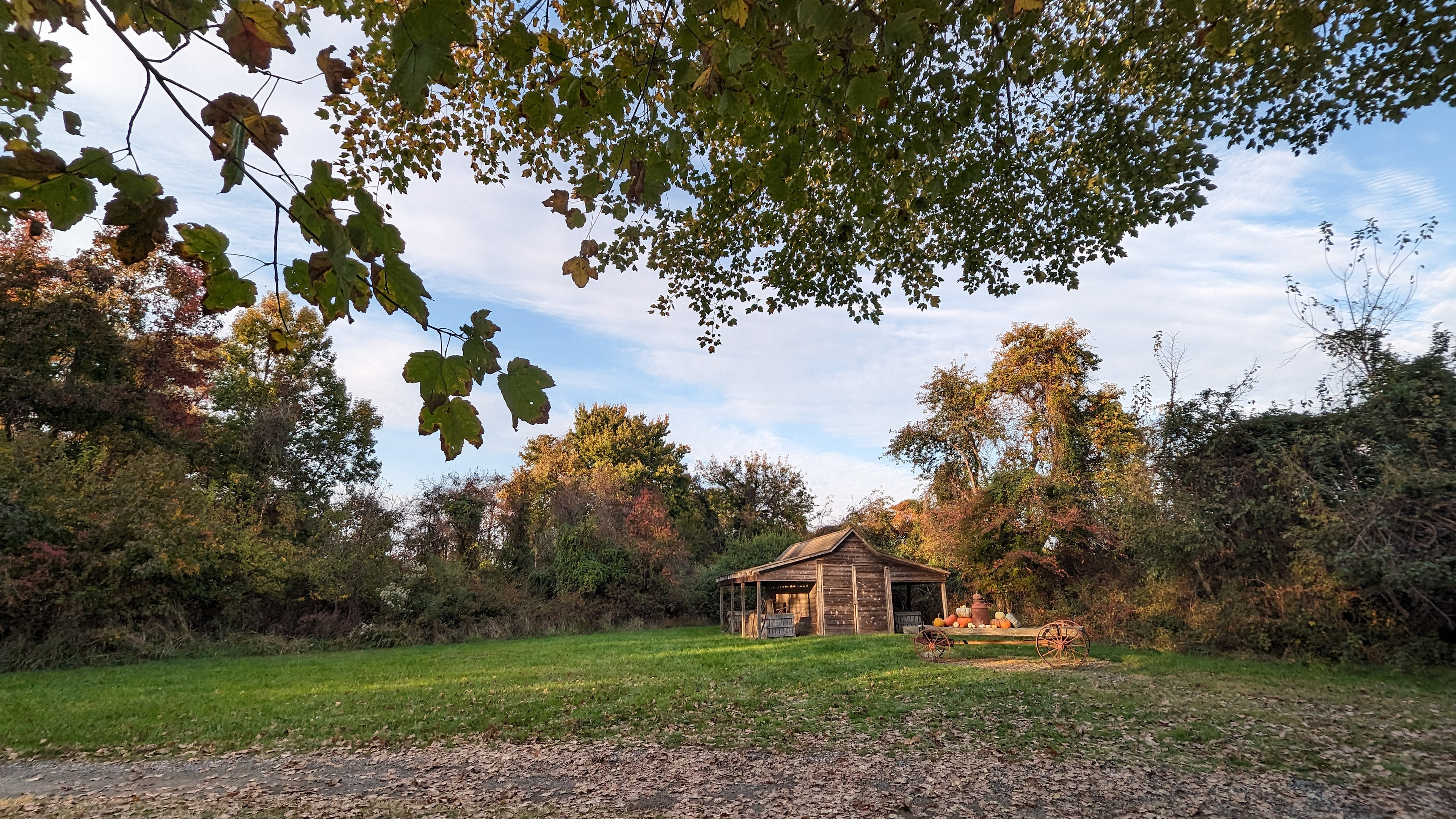 Mulberry Lane