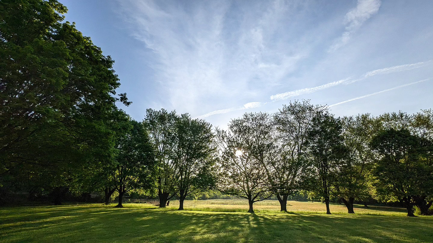 Mulberry Lane