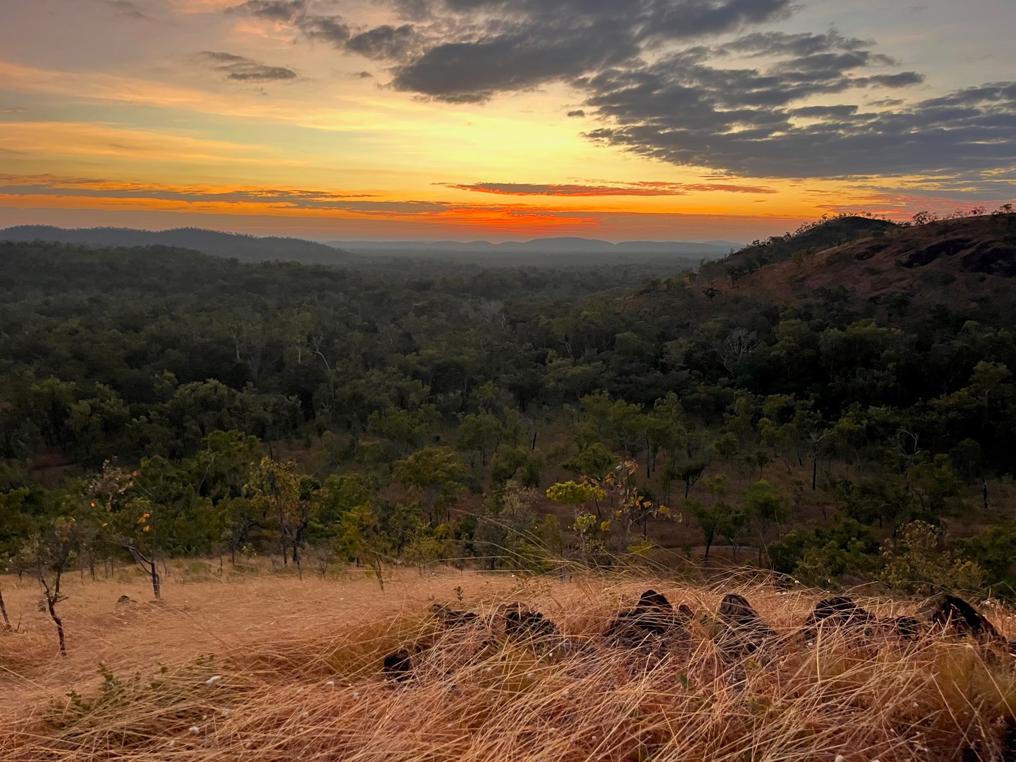 Anniversary Ridge Wilderness Park