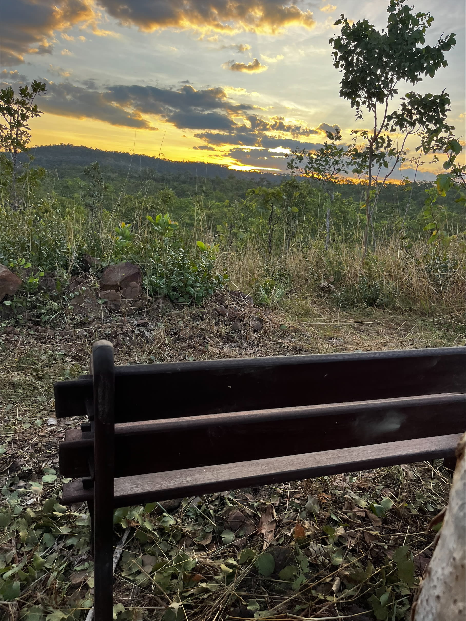 Anniversary Ridge Wilderness Park