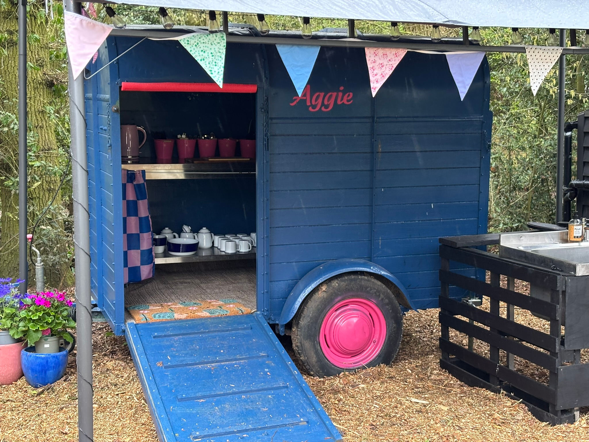 Hill Cottage Woodland Glamping