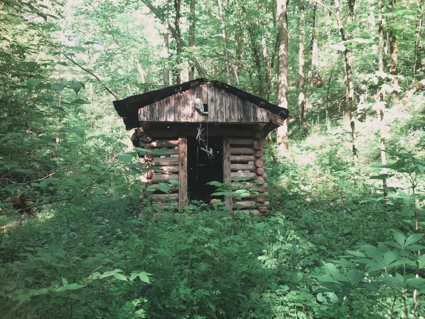 Wildcat Creek Farm in Tyrone