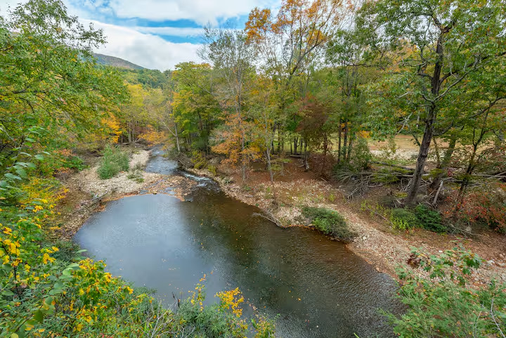 South Toe River Sites- Simple Camp