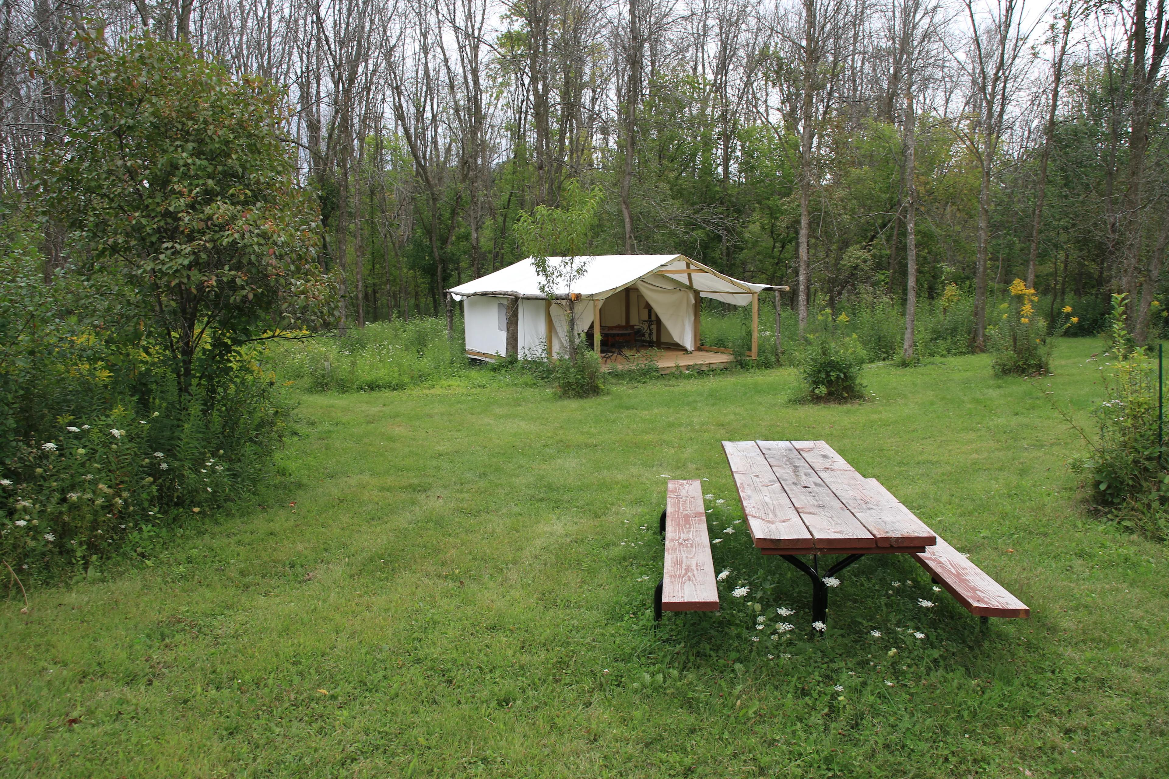 Paradise Farm