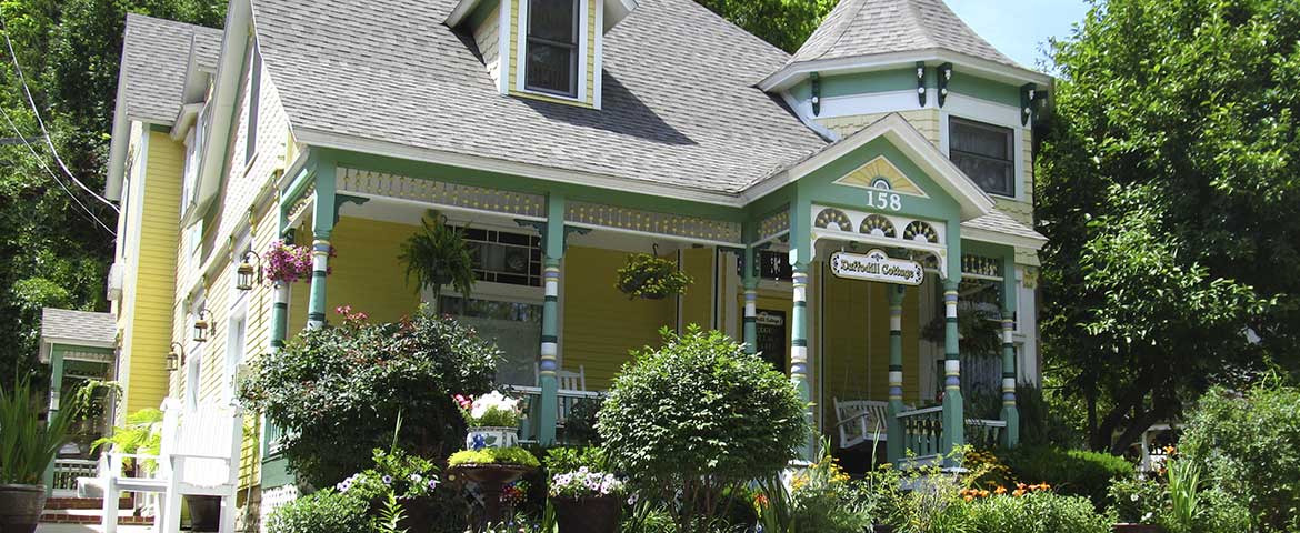 Deer Hollow