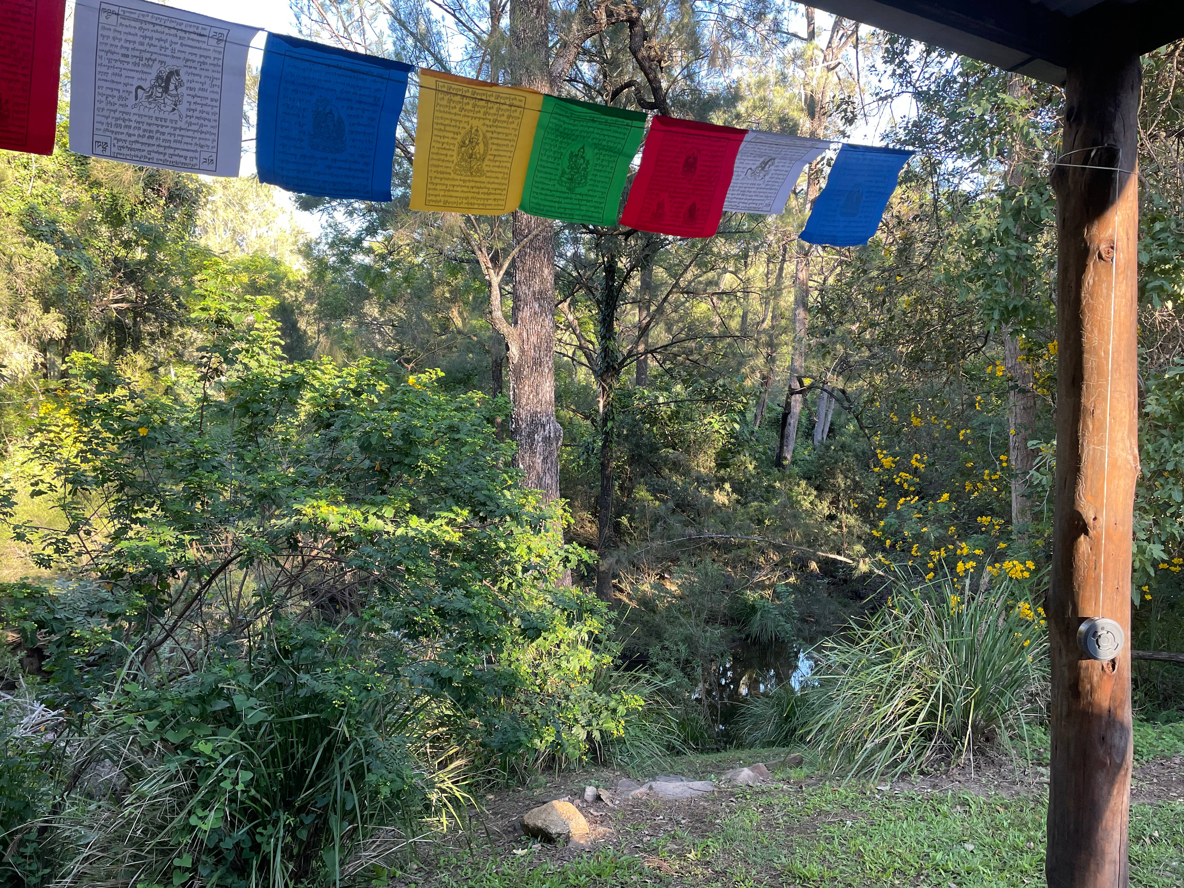 Bellbird Lodge