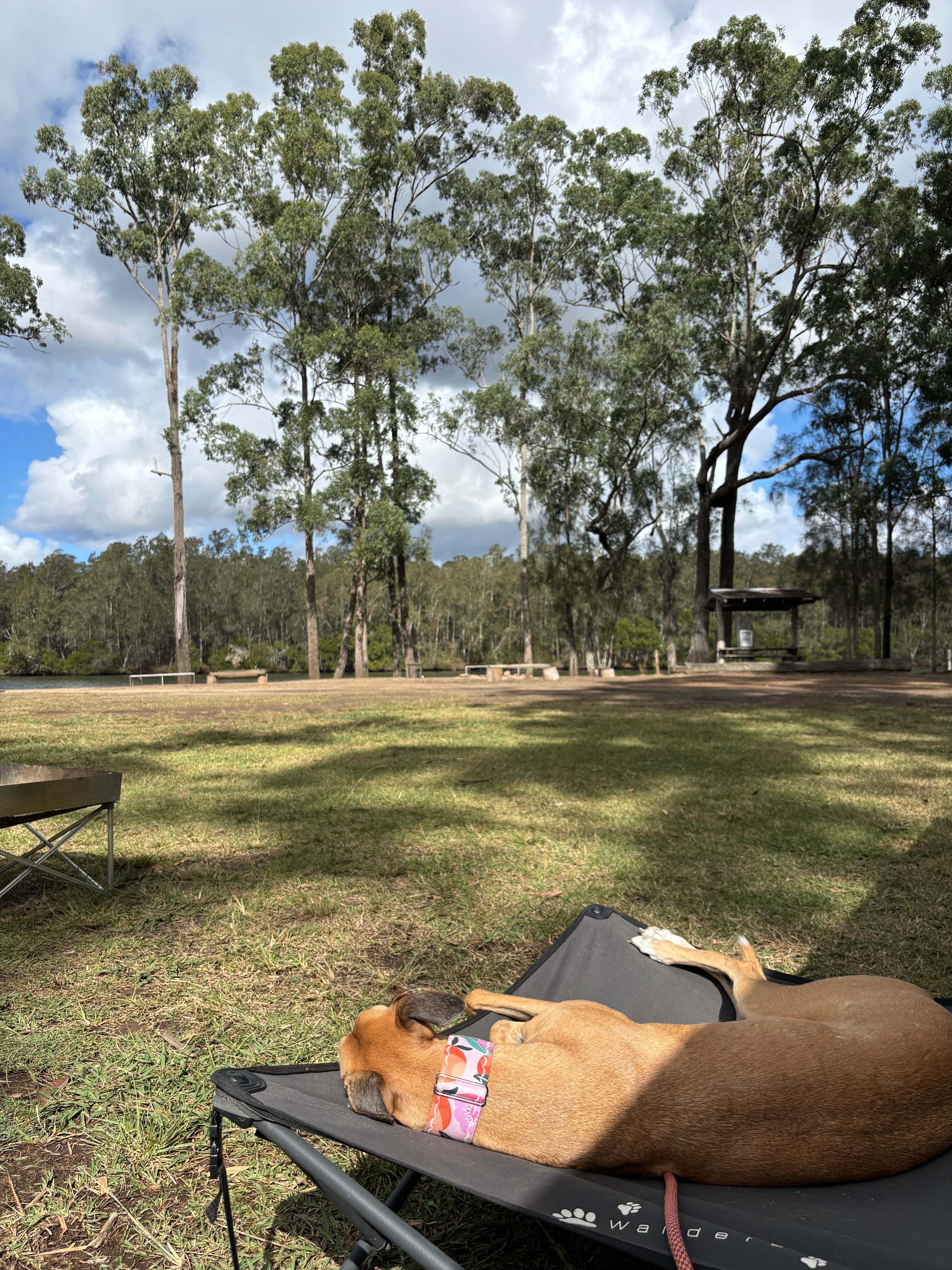 Minimbah Fishing Lodge River Camp