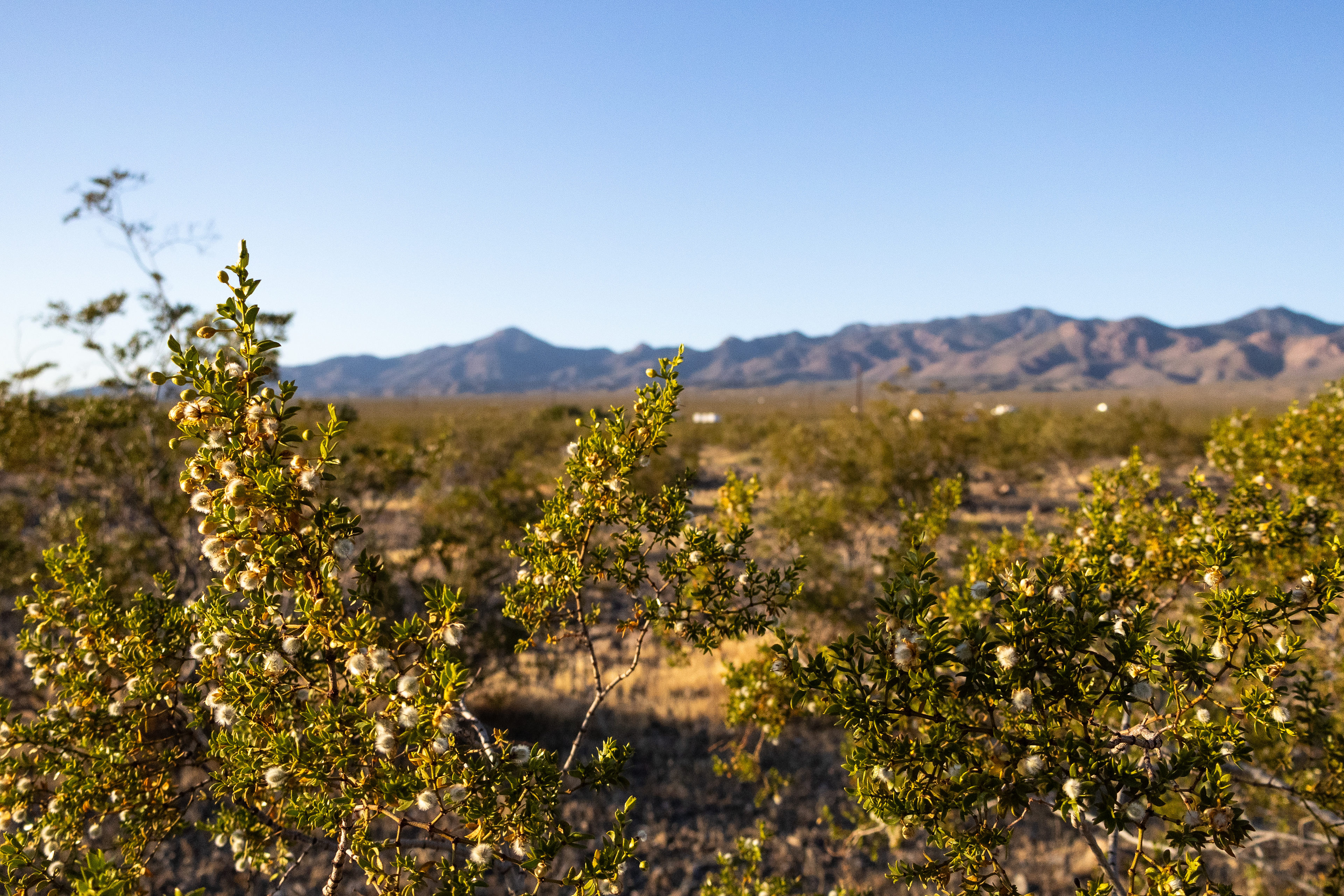 Private Desert Camping Near Vegas