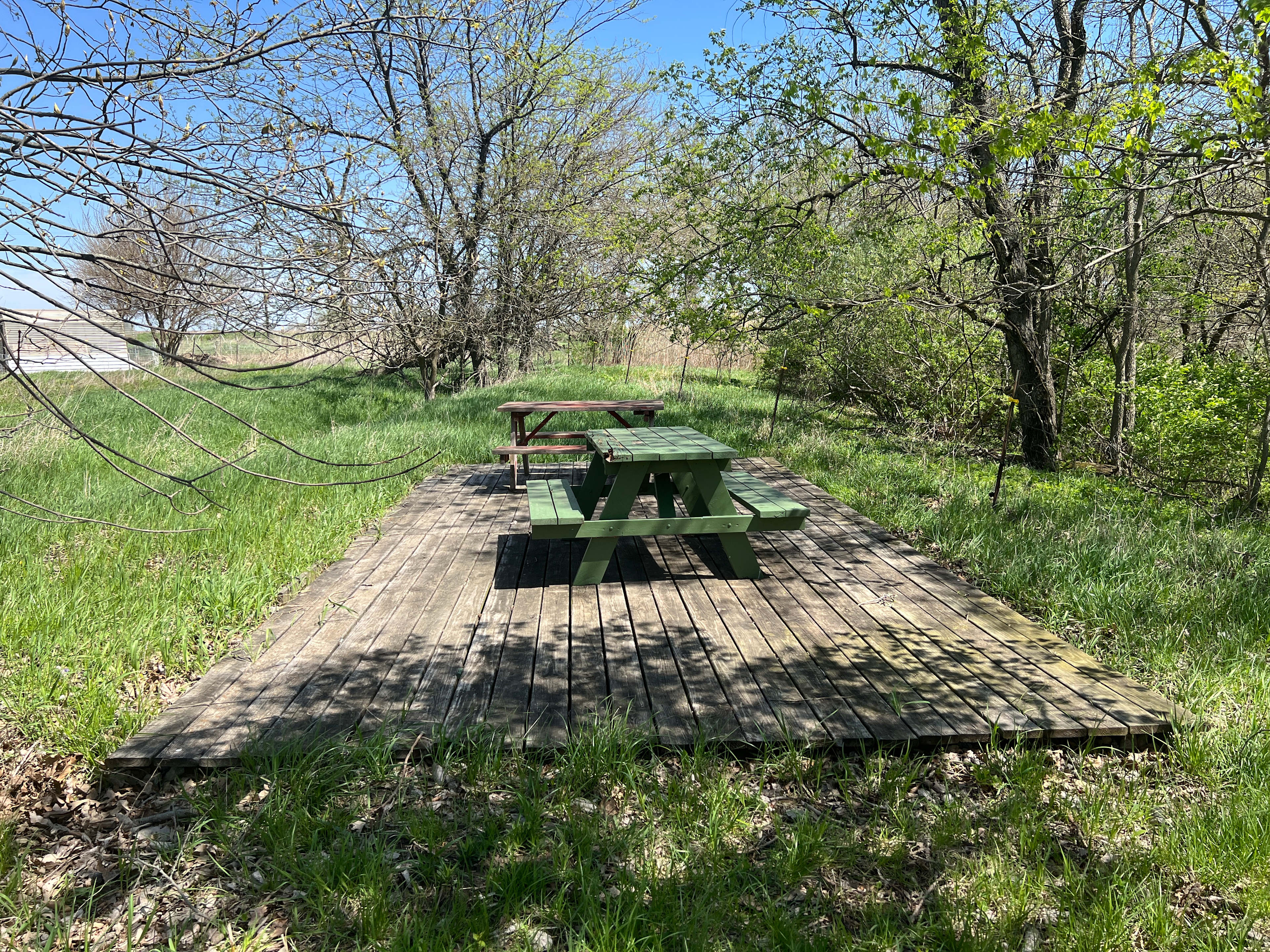Antiquity Oaks