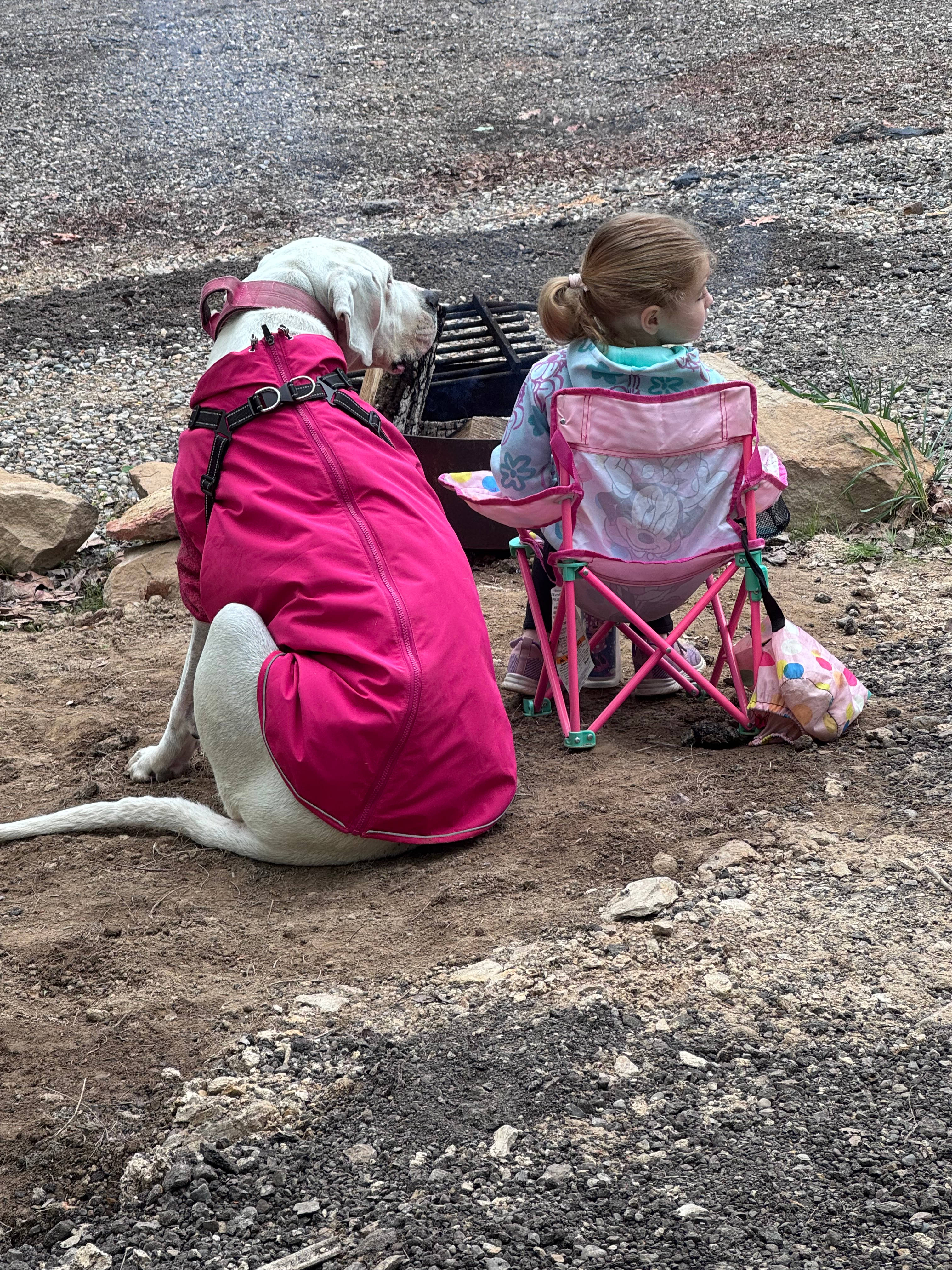 Wild Ridge Campsites and LodgingLLC