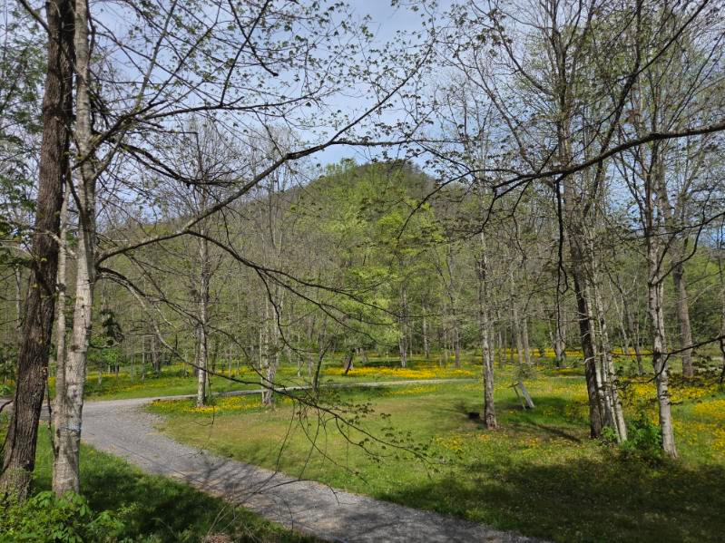 River Trail Hollow