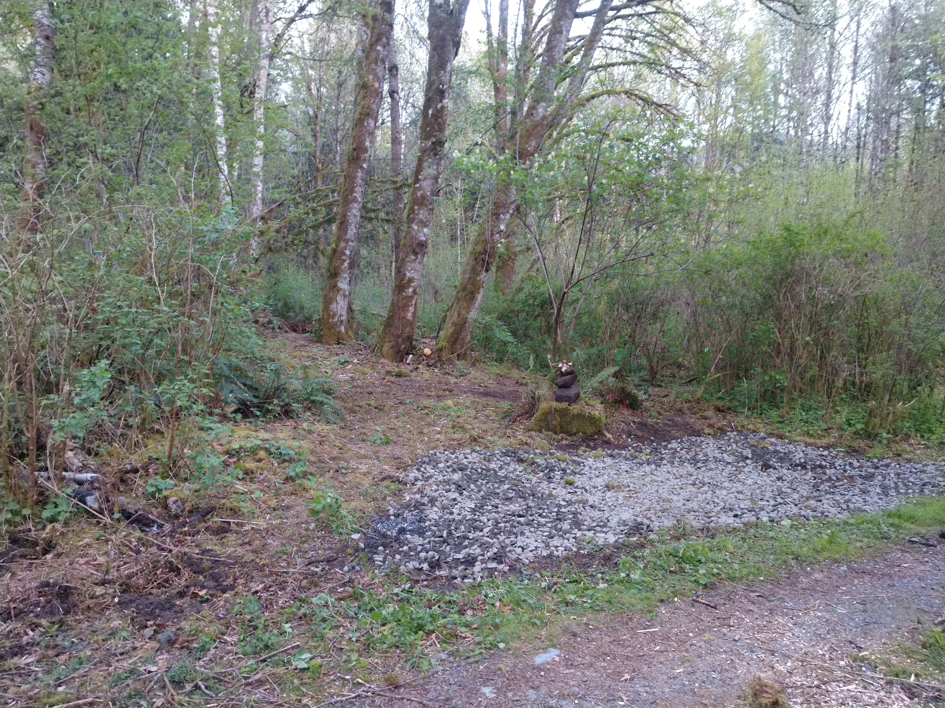 Hippie Forest