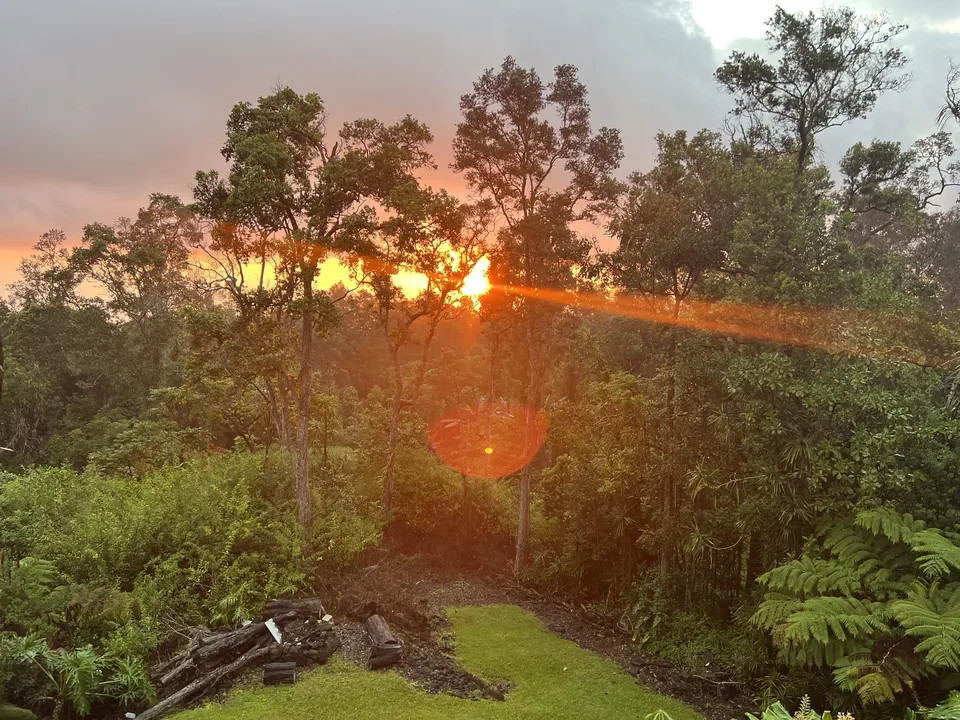 Ohia Cloud Forest with Star Gazing