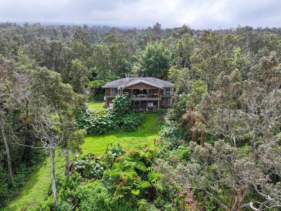 Ohia Cloud Forest with Star Gazing