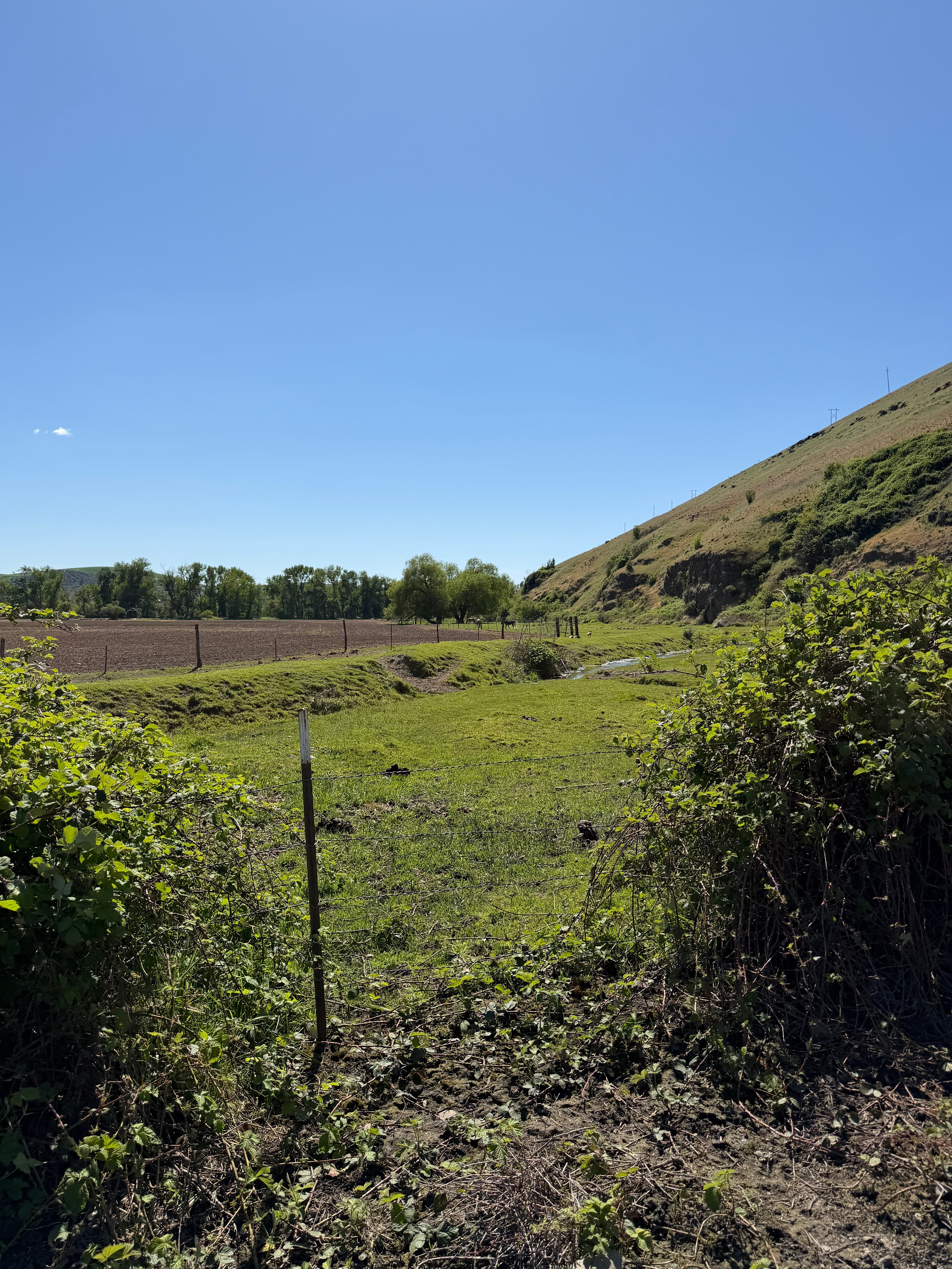 Ogden Ranch