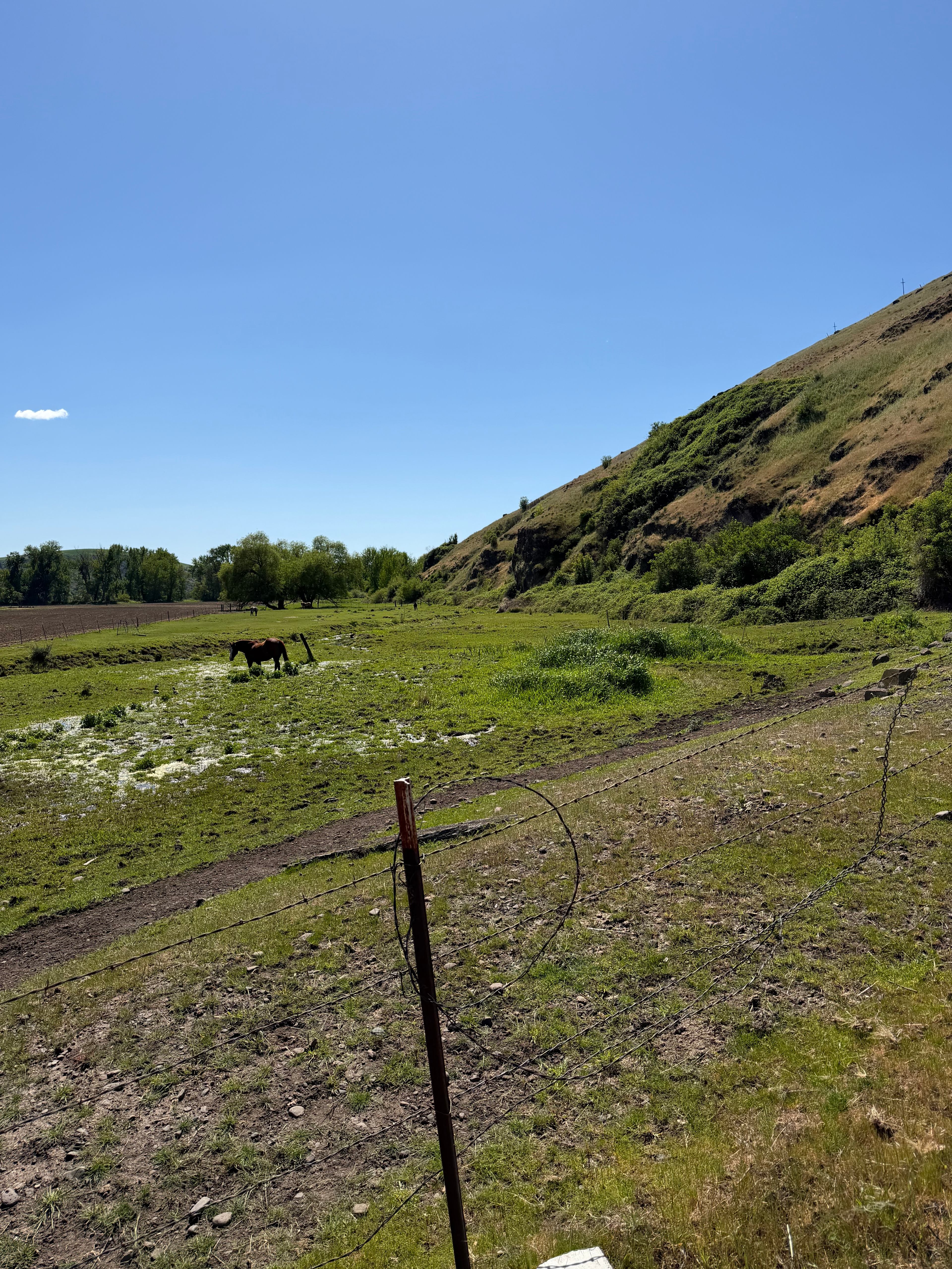 Ogden Ranch