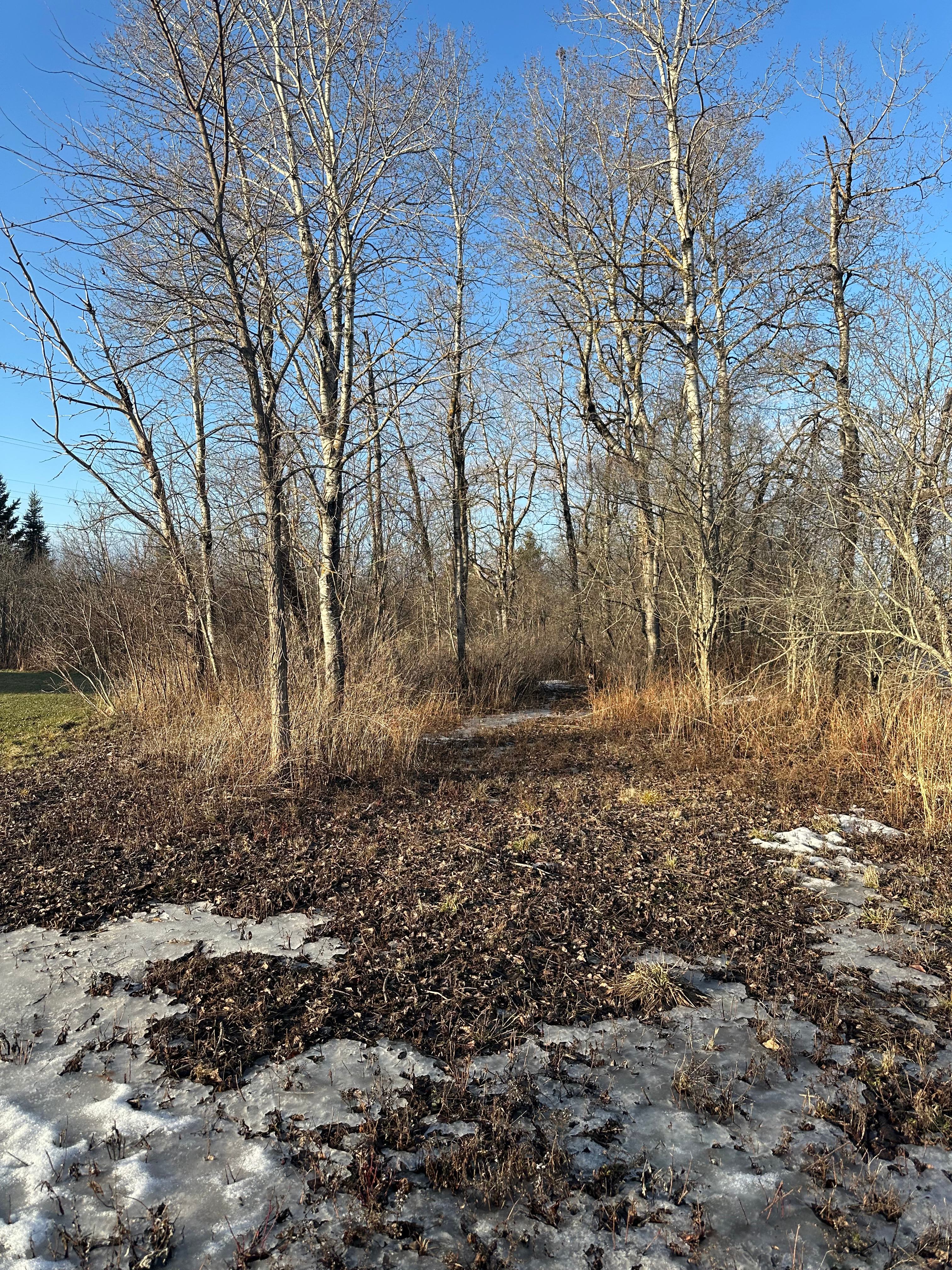 Riley Acres