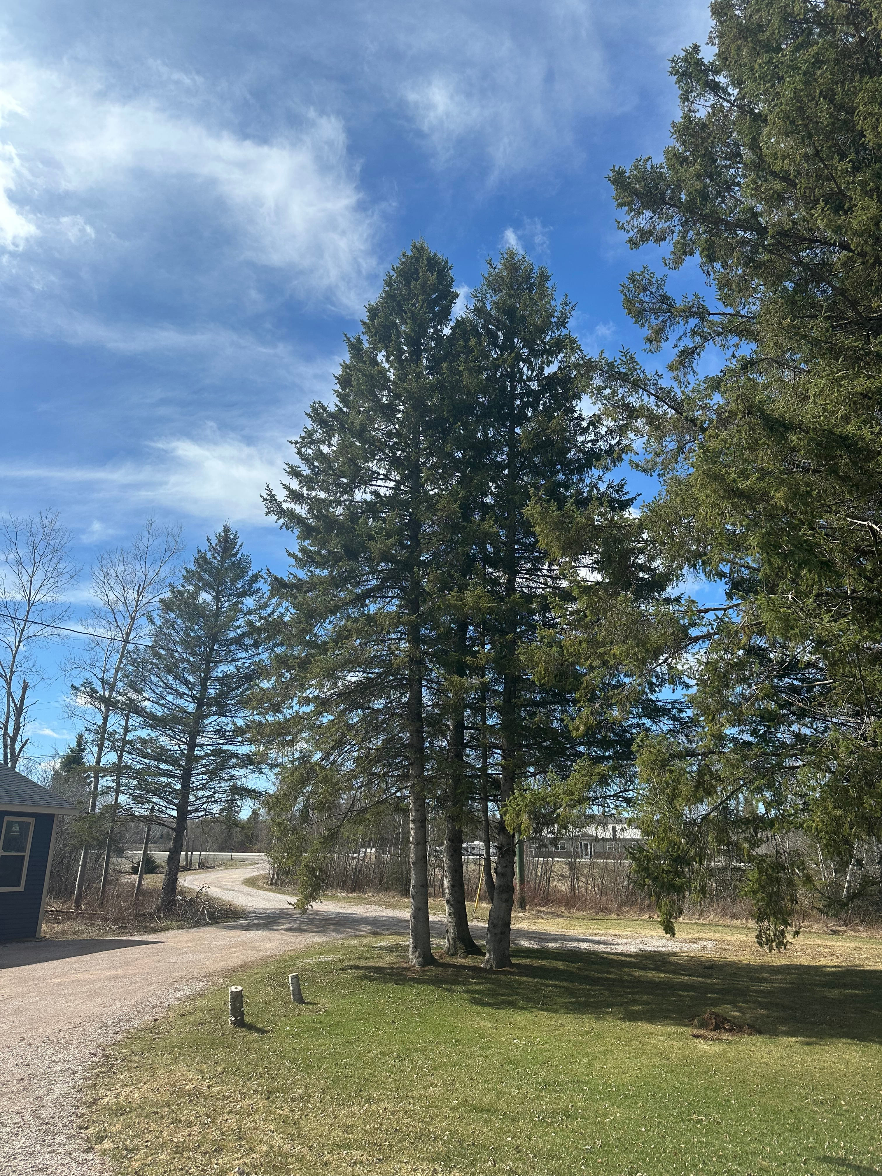 Riley Acres