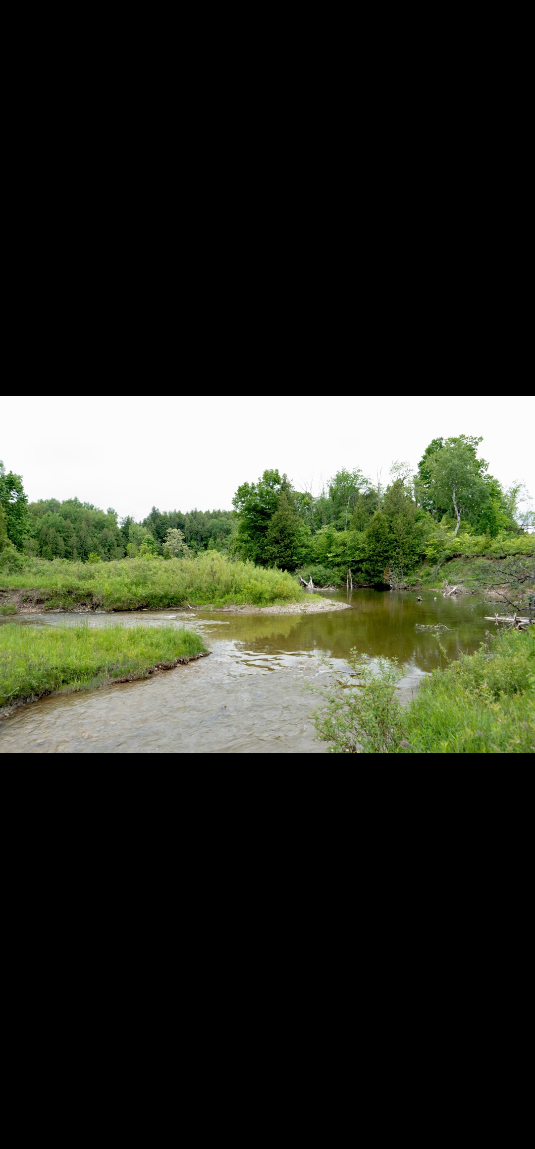 Mad river ranch