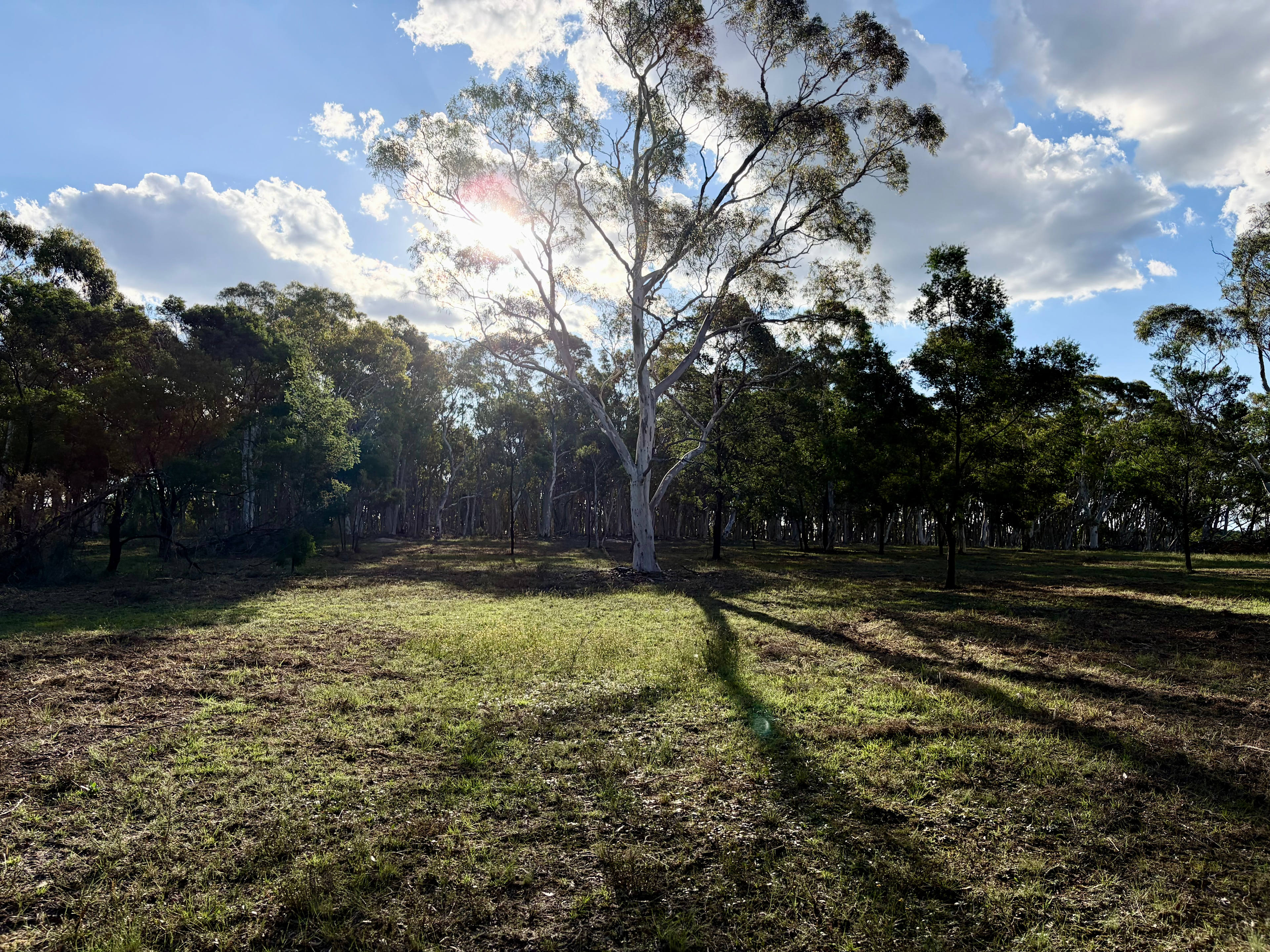 Janisa | Horse & Dog Friendly Stay