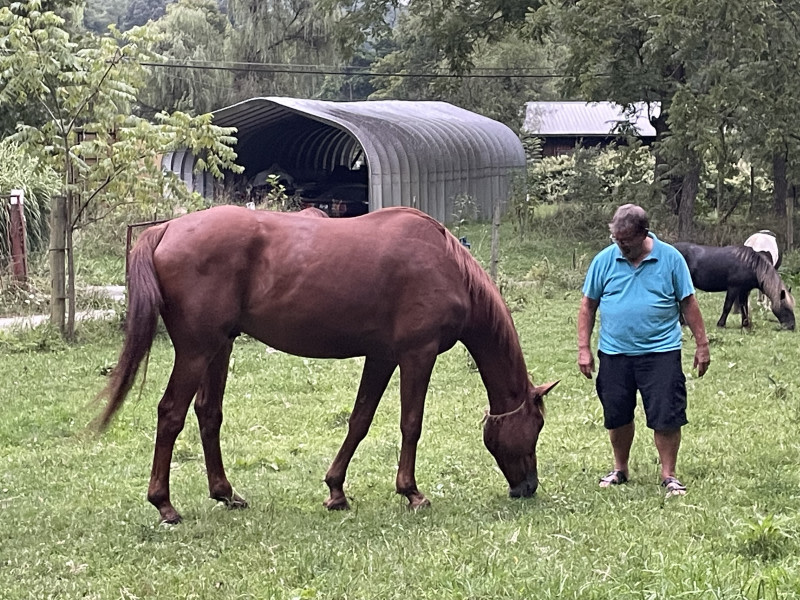 Secluded Horse Farm Retreat