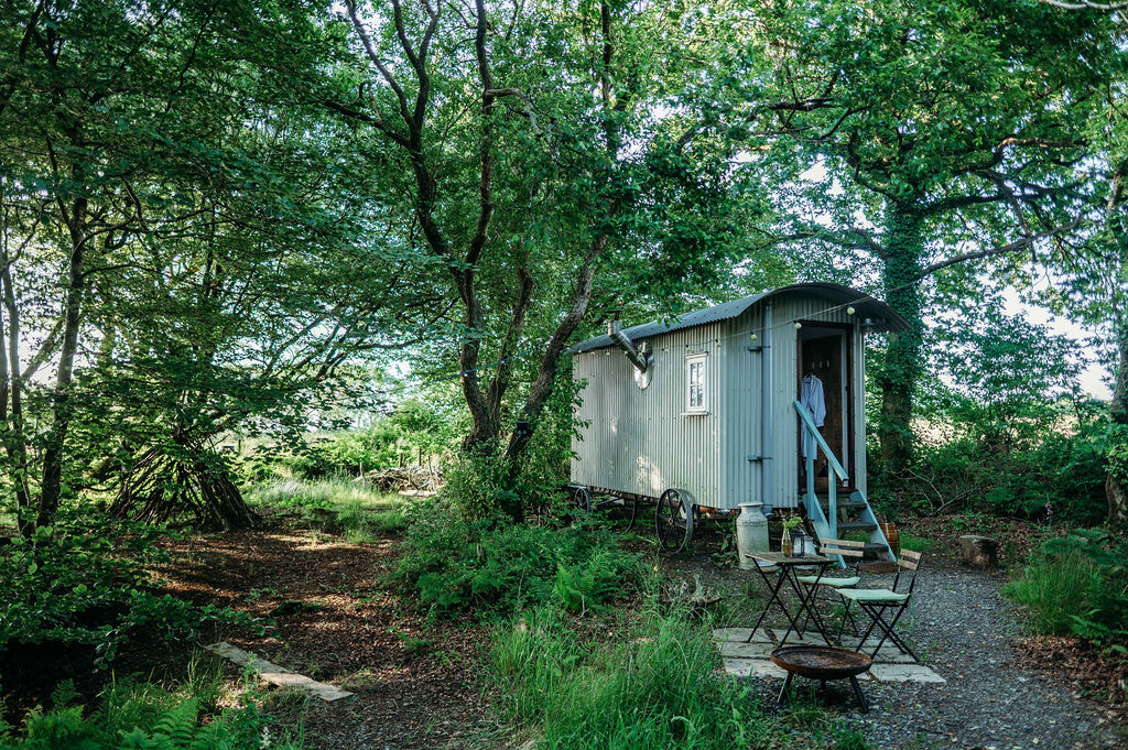 Private woodland in a shepherds hut