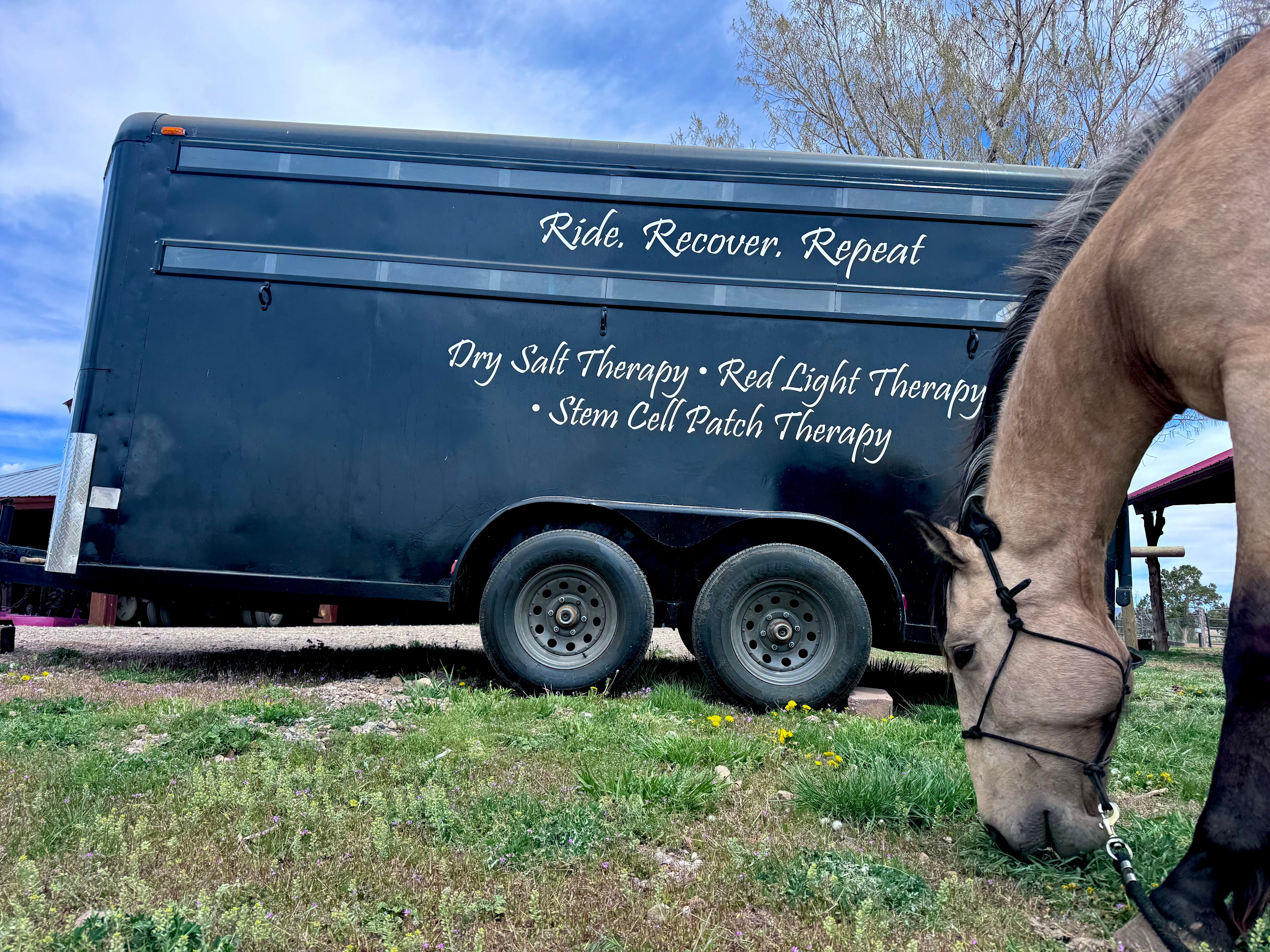 Salt of the Earth Ranch, LLC