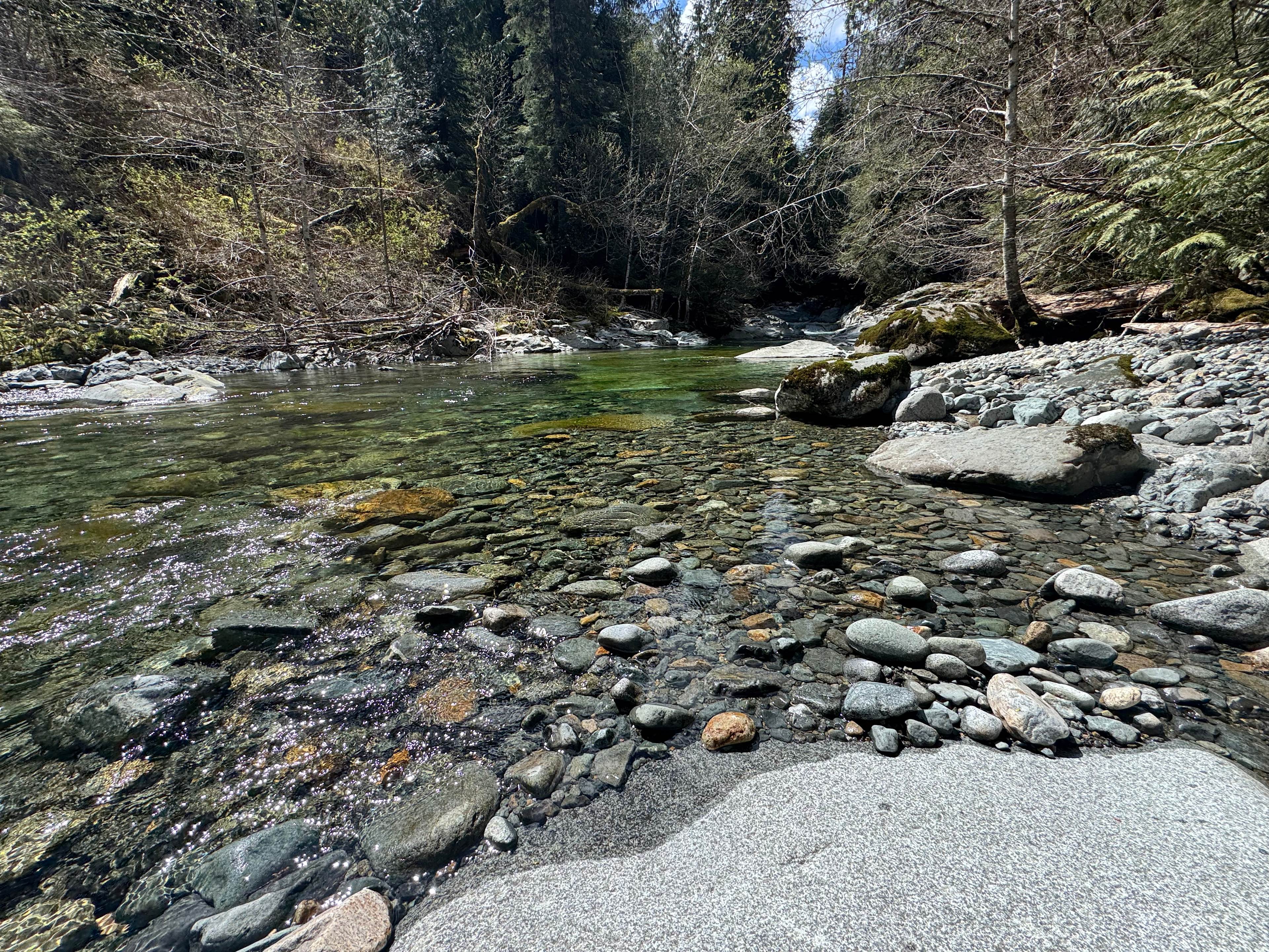 Money Creek - Creekside Campsite