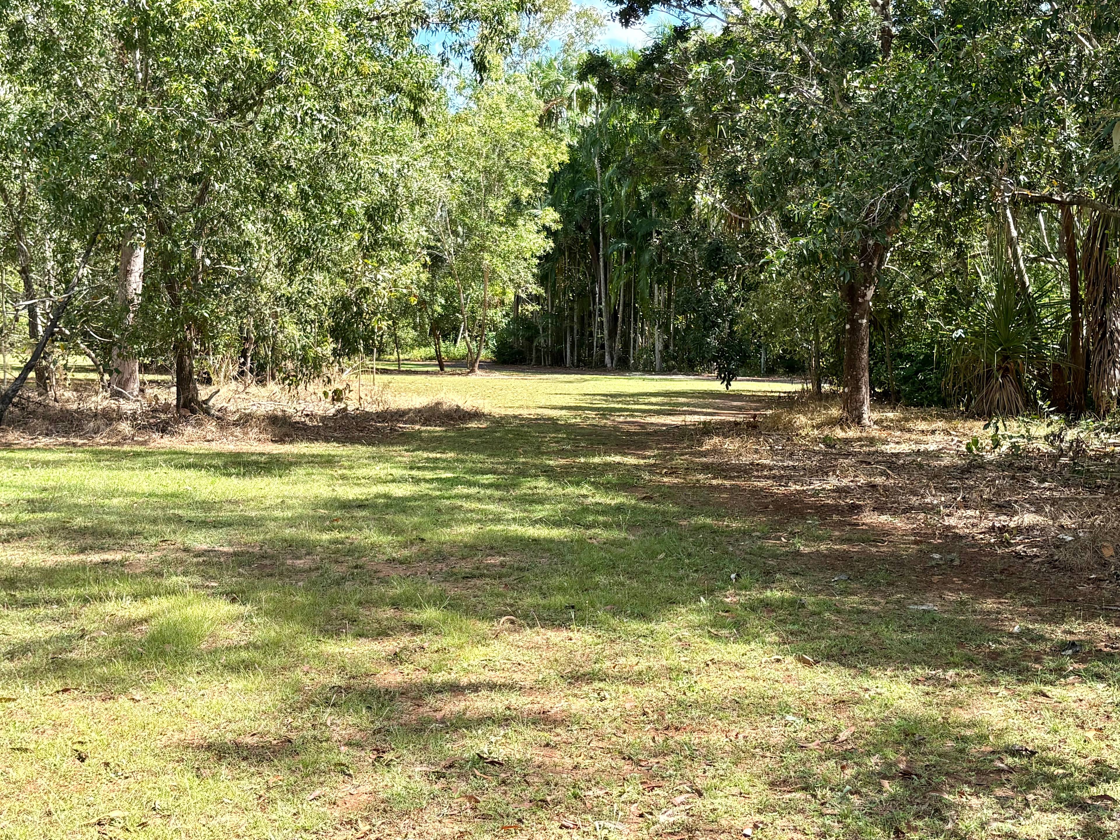 Enough shade under the trees and open space for cars and caravan