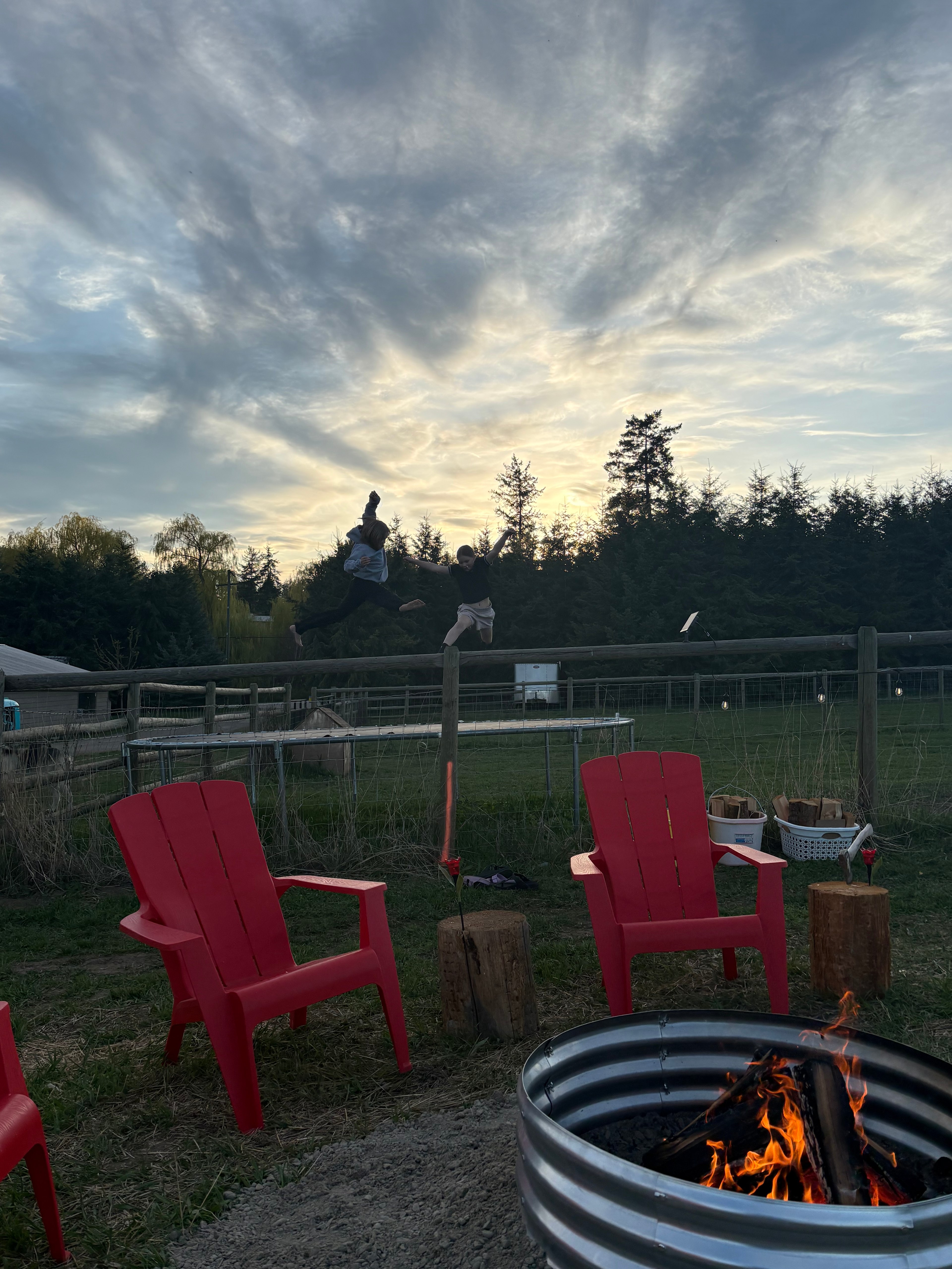 Stella’s Oasis