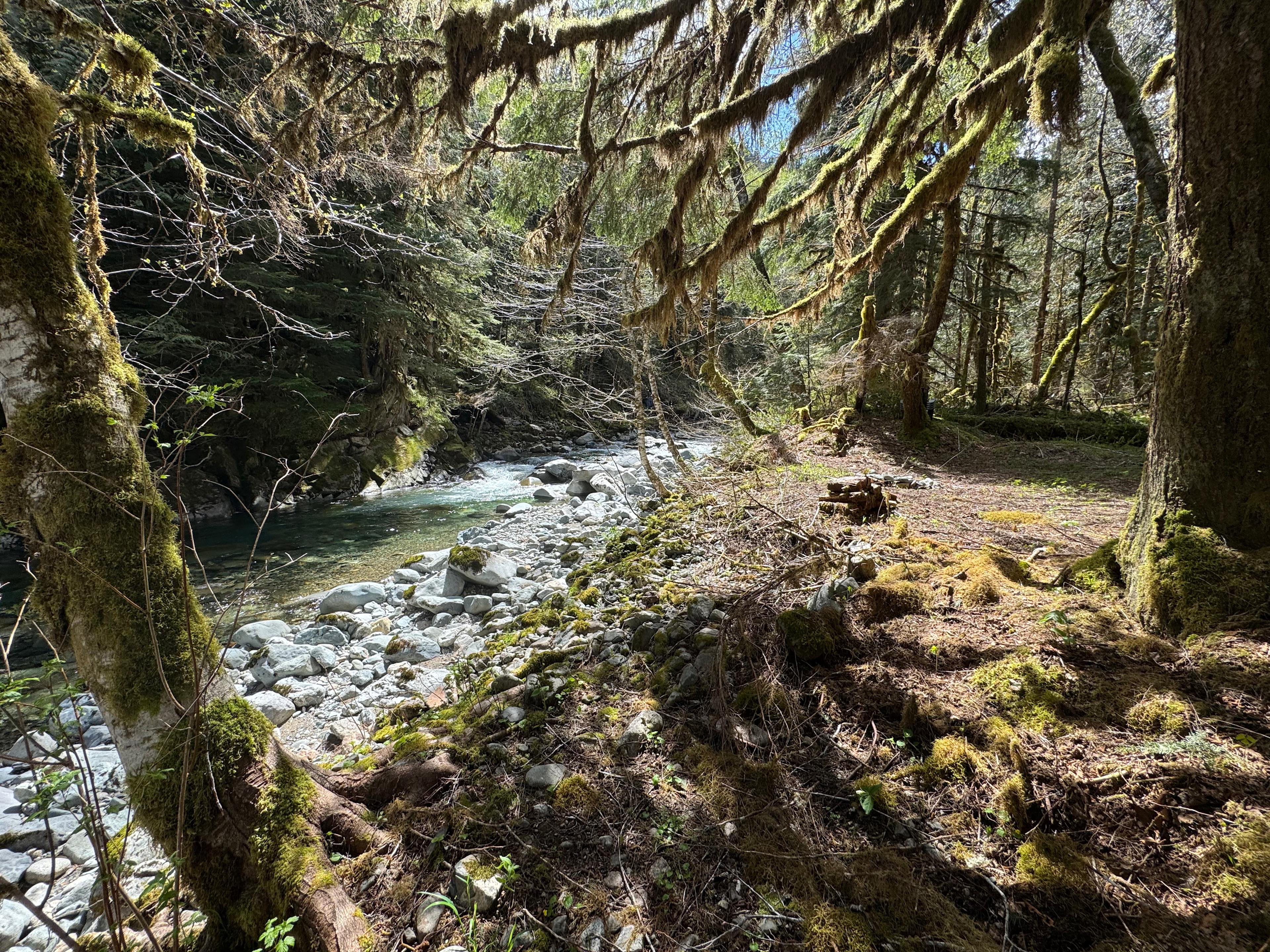 Money Creek - Creekside Campsite