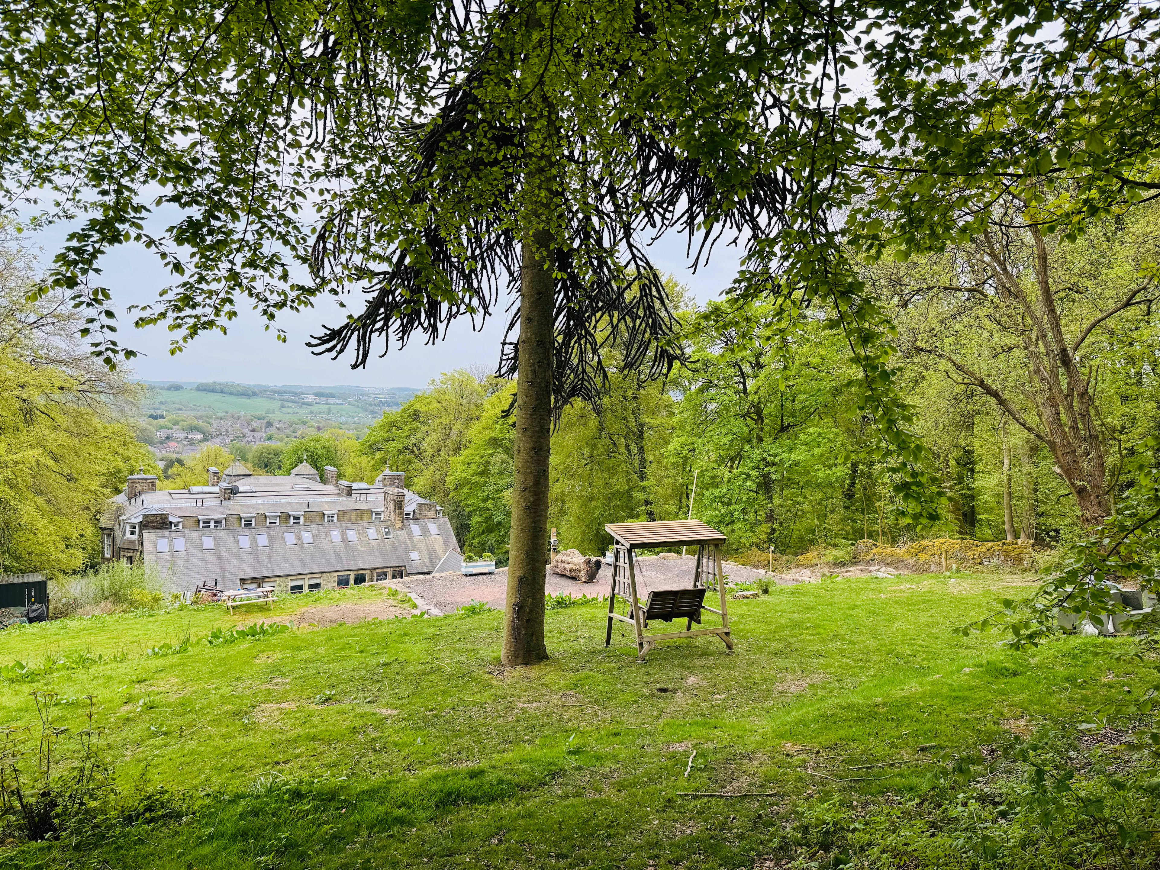 The Duchess's Meadow