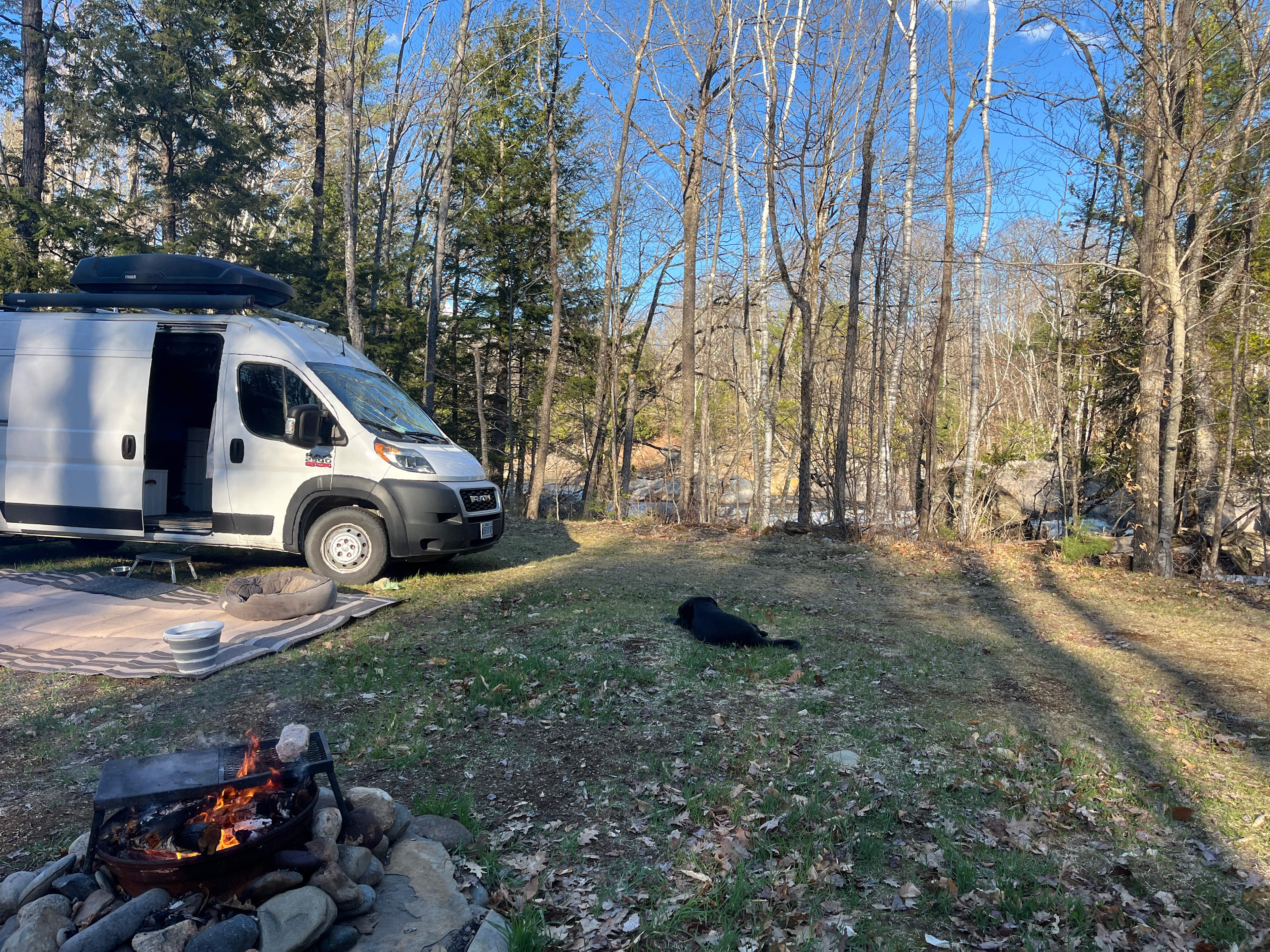 🌲 40 Acres Of Riverfront Serenity