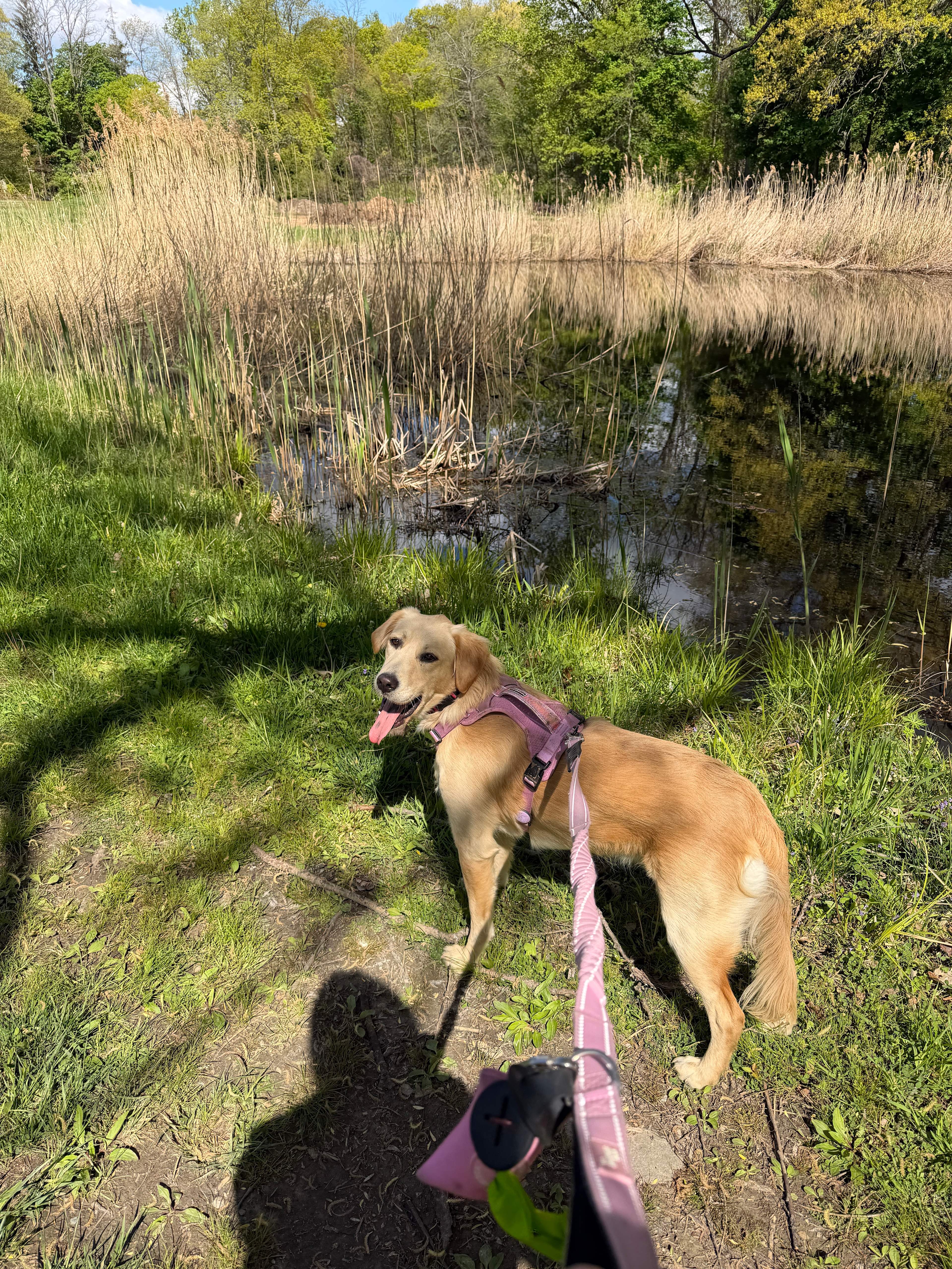 We had a great time exploring