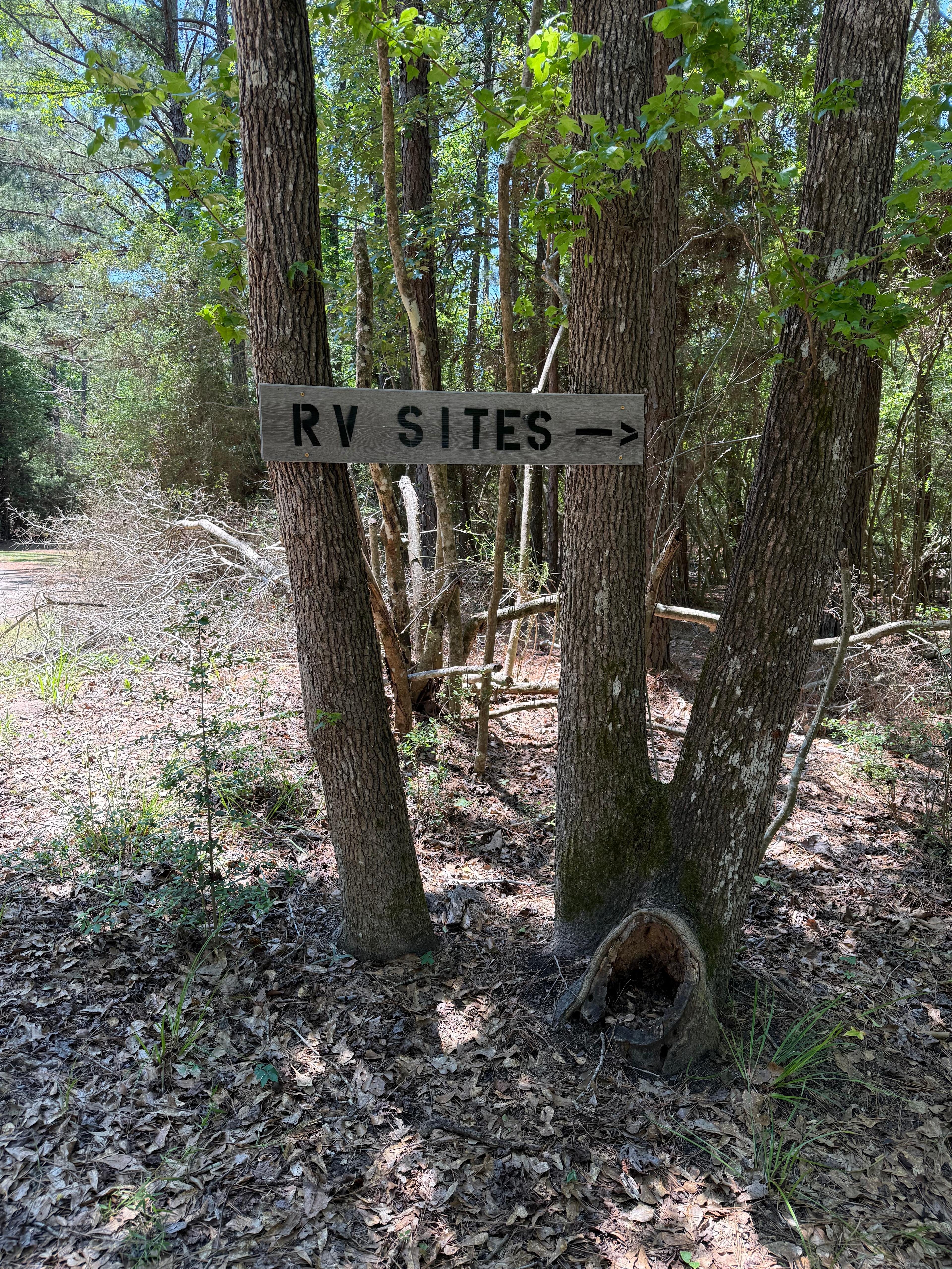 Zavalla Wooded Privacy