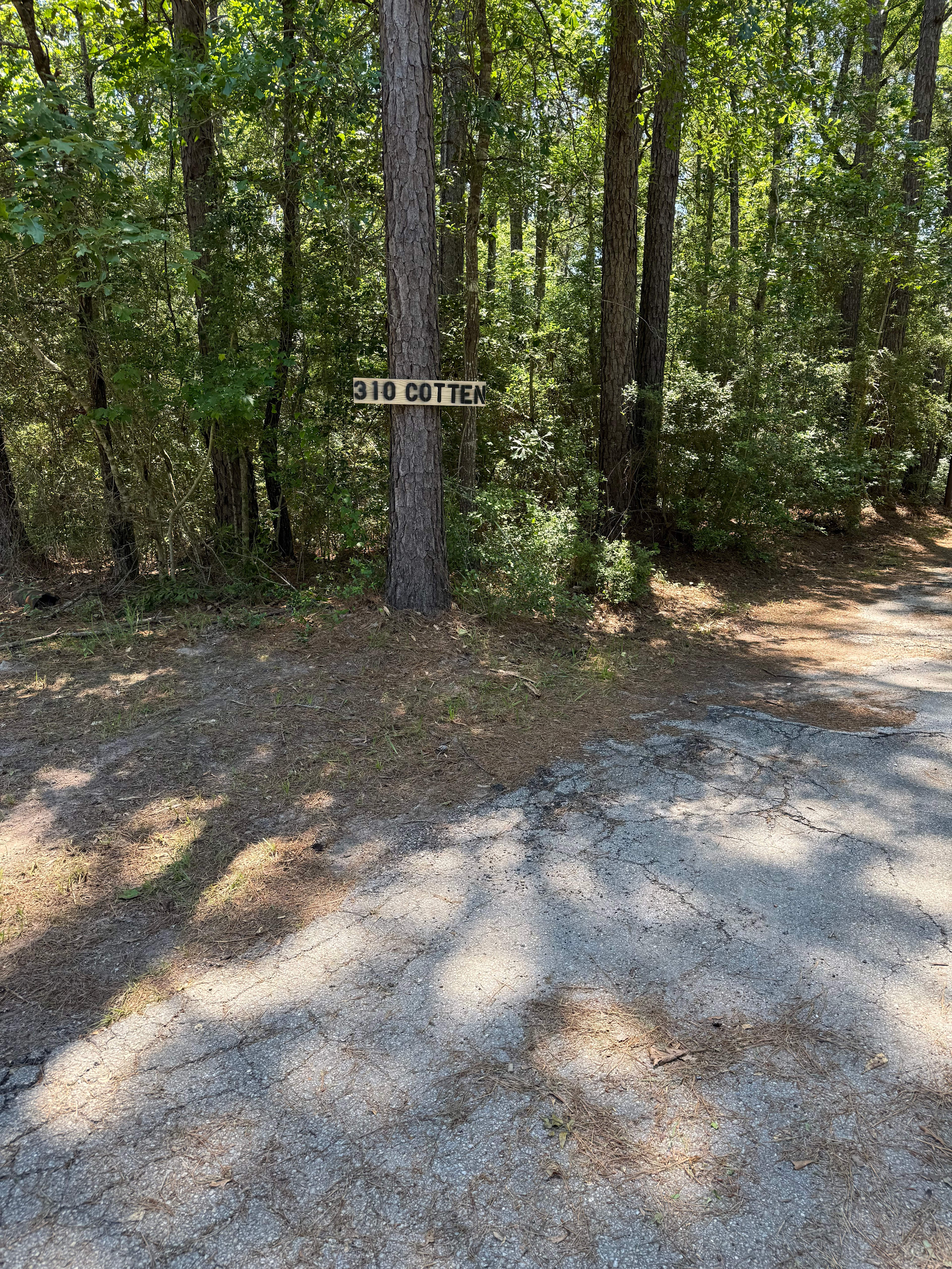 Zavalla Wooded Privacy