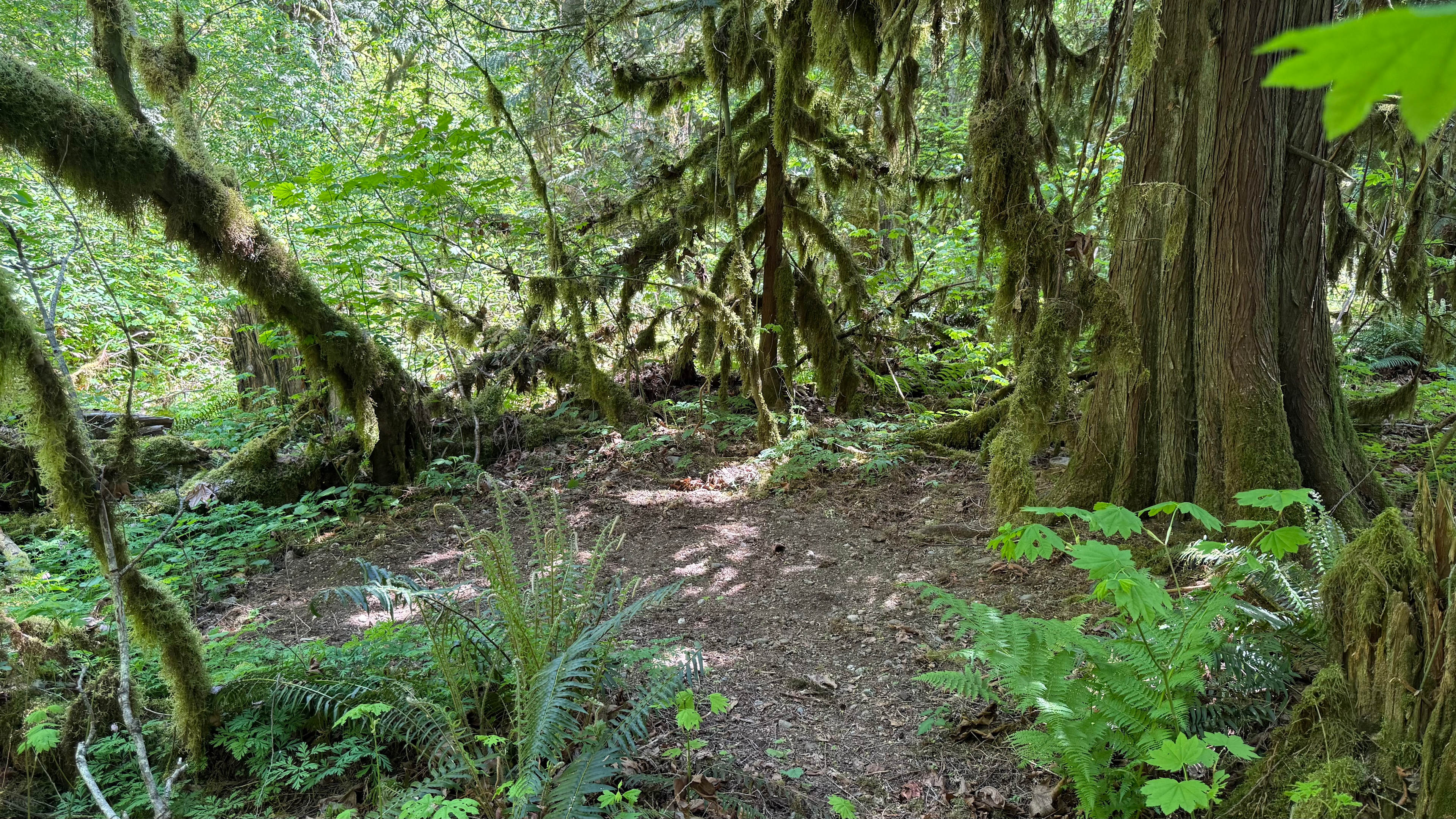 View from trail showing Camp 1