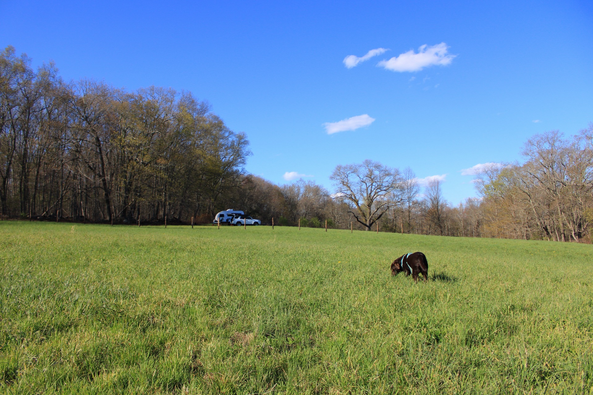 Goodfield Farm Rustic Camping