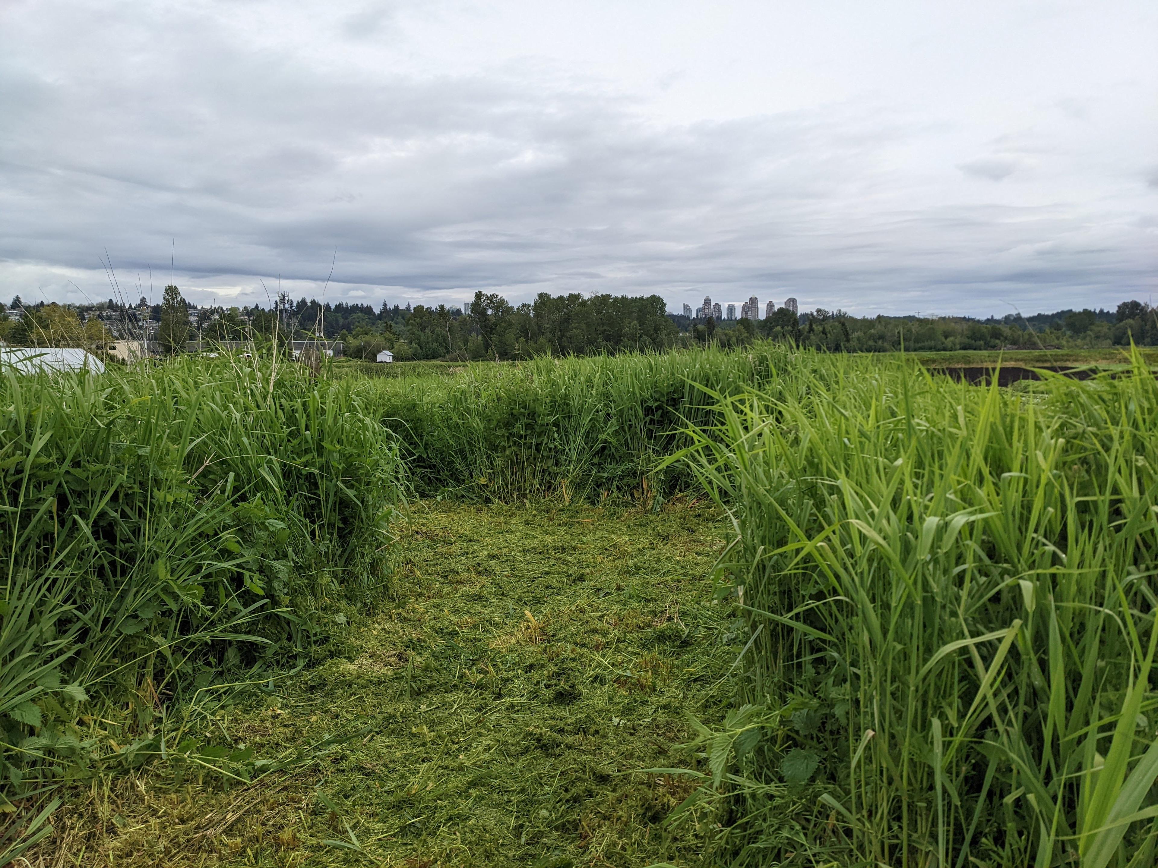 Big Bend Urban Farm